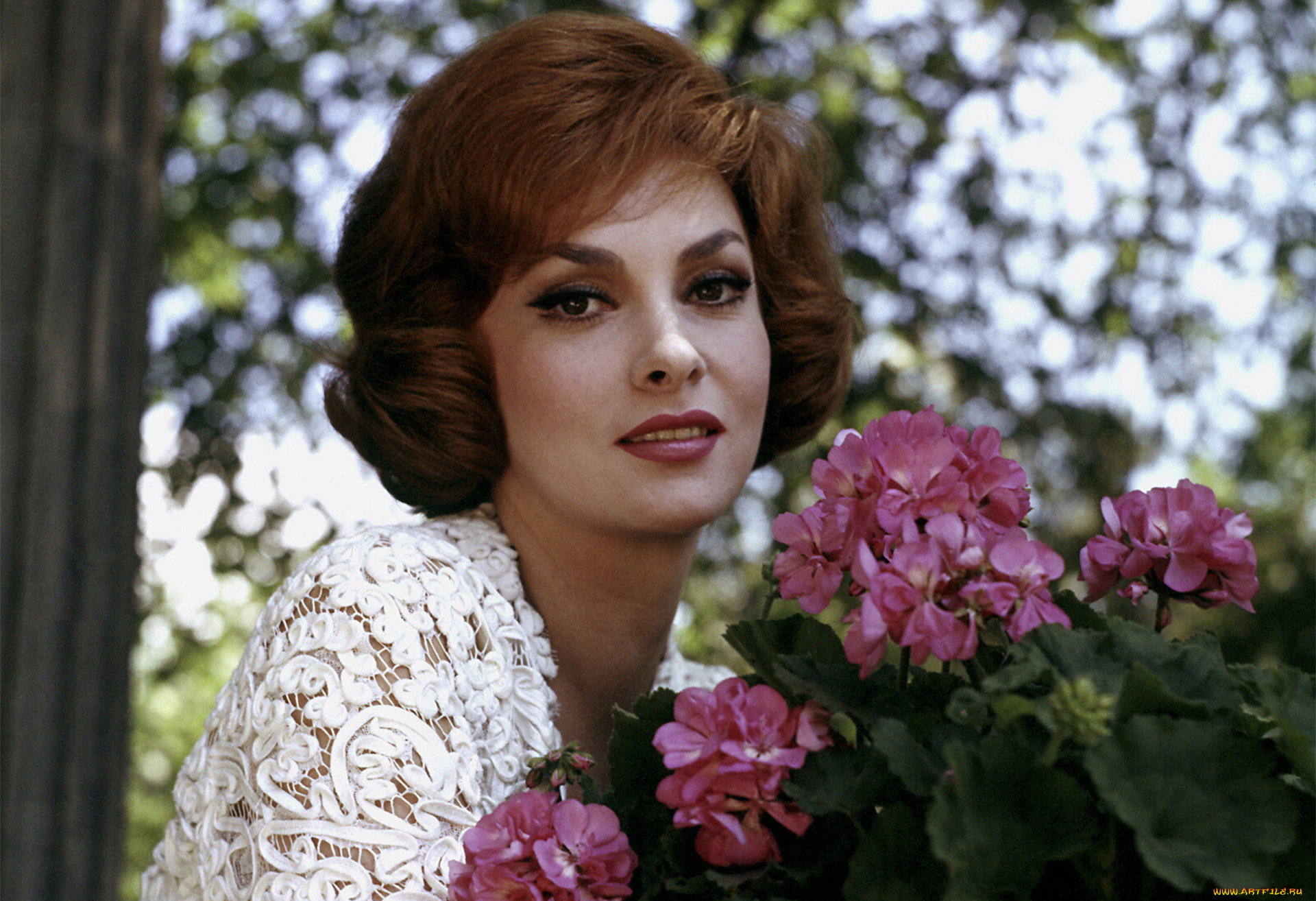 gina, lollobrigida, девушки, gina, lollobrigida, актриса, красотка, цветноефото, цветы, лицо, портрет, взгляд