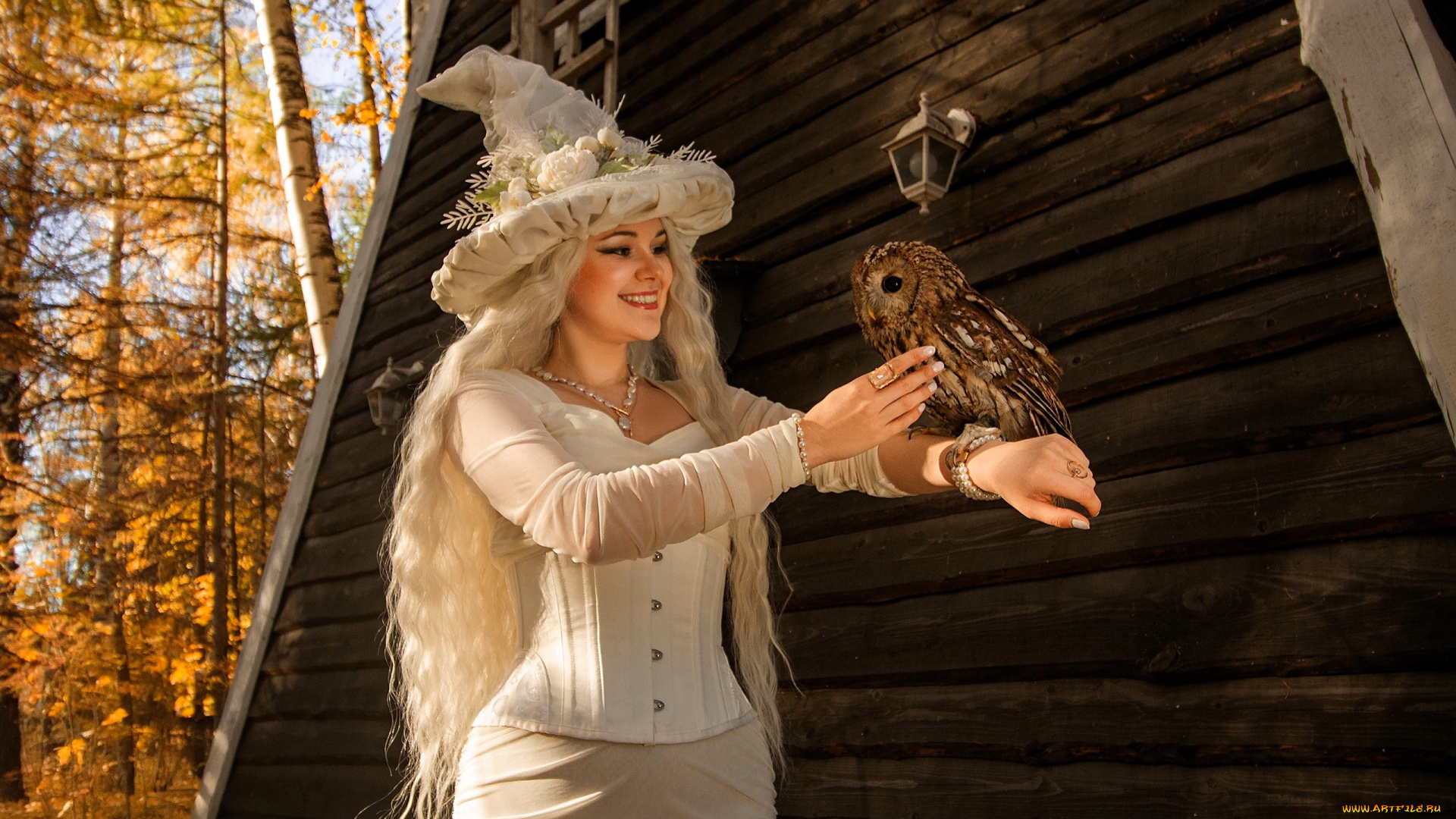 девушки, -, креатив, , косплей, образ, косплей, наряд, костюм, ведьма, шляпа, платье, сова, дом, осень, лес