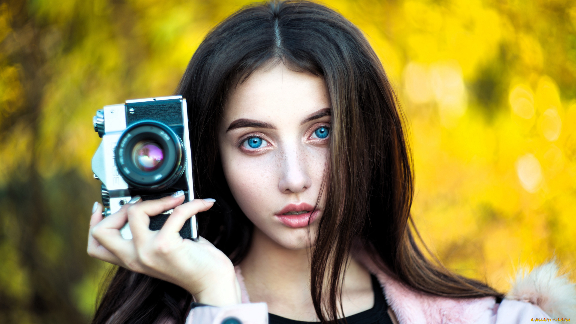 девушки, -, лица, , портреты, шатенка, лицо, камера, фотоаппарат, осень