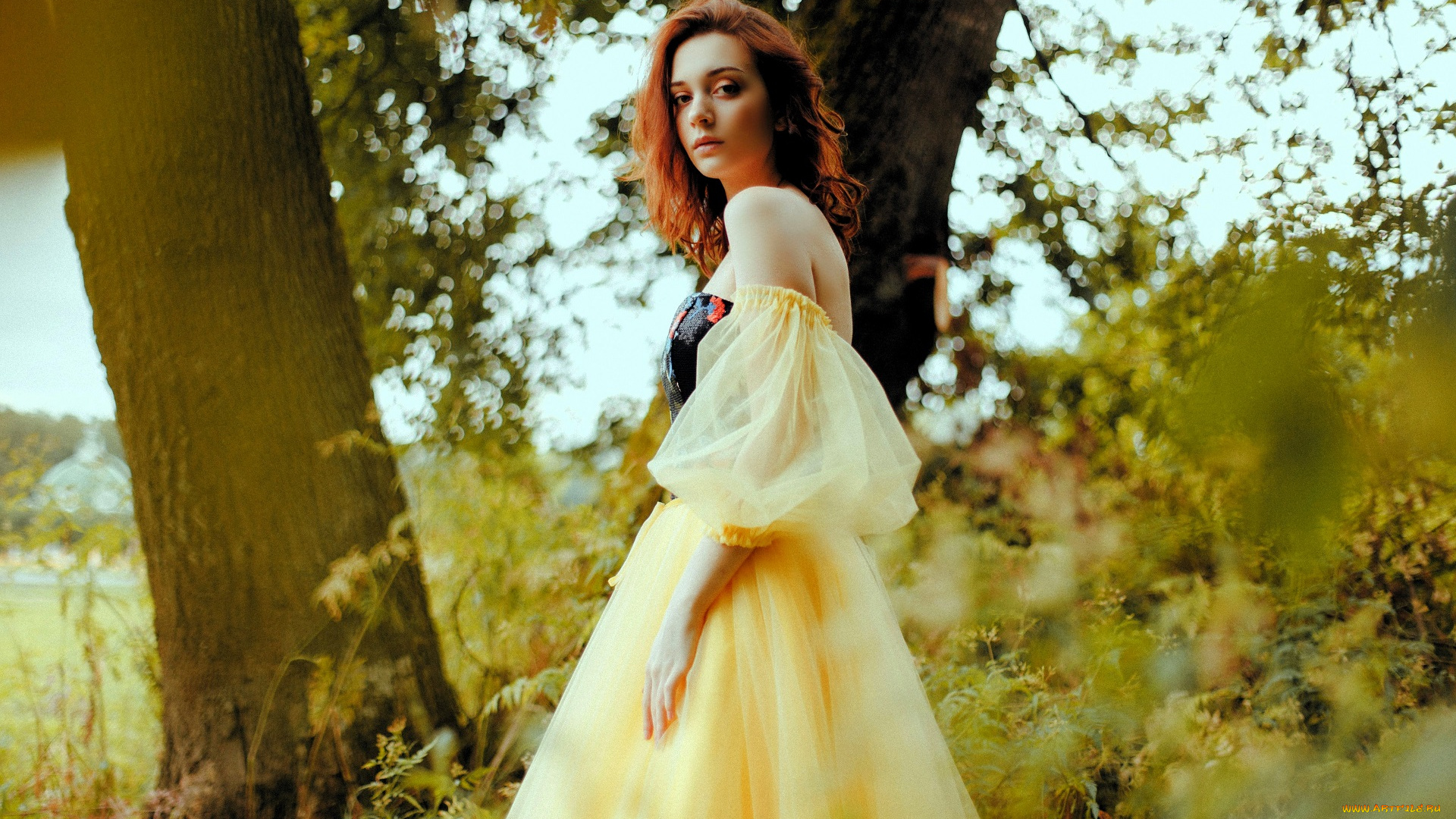 девушки, -, рыжеволосые, и, разноцветные, рыжая, платье, деревья, кусты