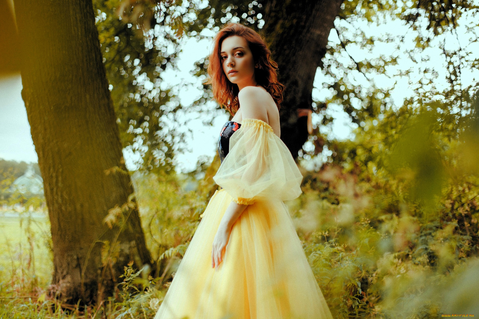 девушки, -, рыжеволосые, и, разноцветные, рыжая, платье, деревья, кусты