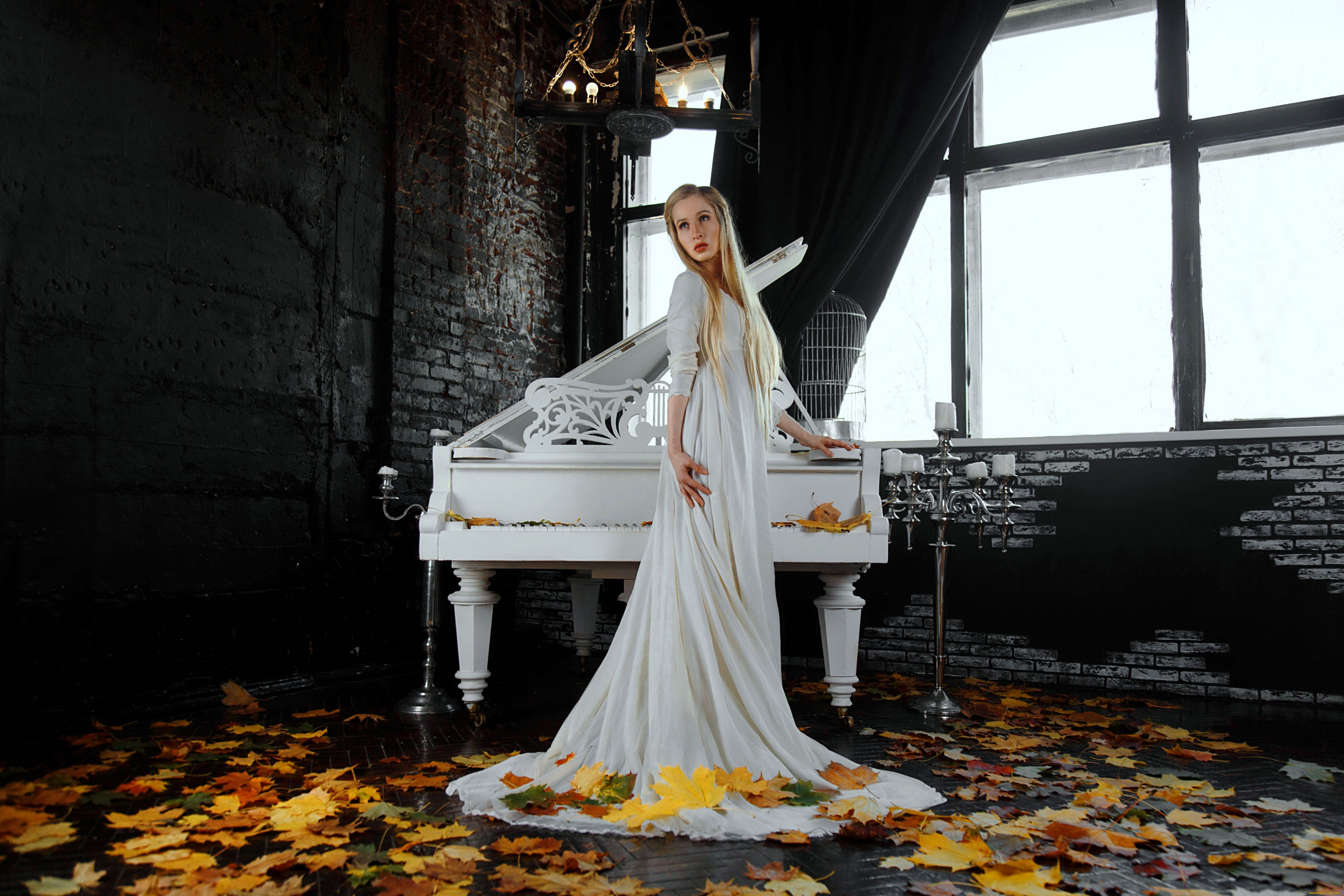девушки, -, блондинки, , светловолосые, блондинка, платье, рояль, листья, осень, окно