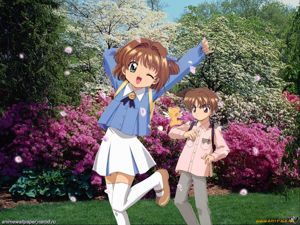 аниме, card, captor, sakura