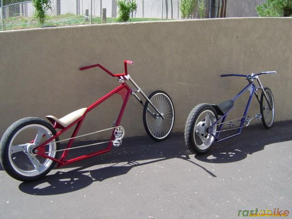 спорт, велоспорт