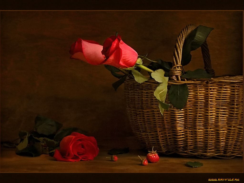 скромный, последний, собранный, урожай, авт, елена, ильенко, цветы, розы