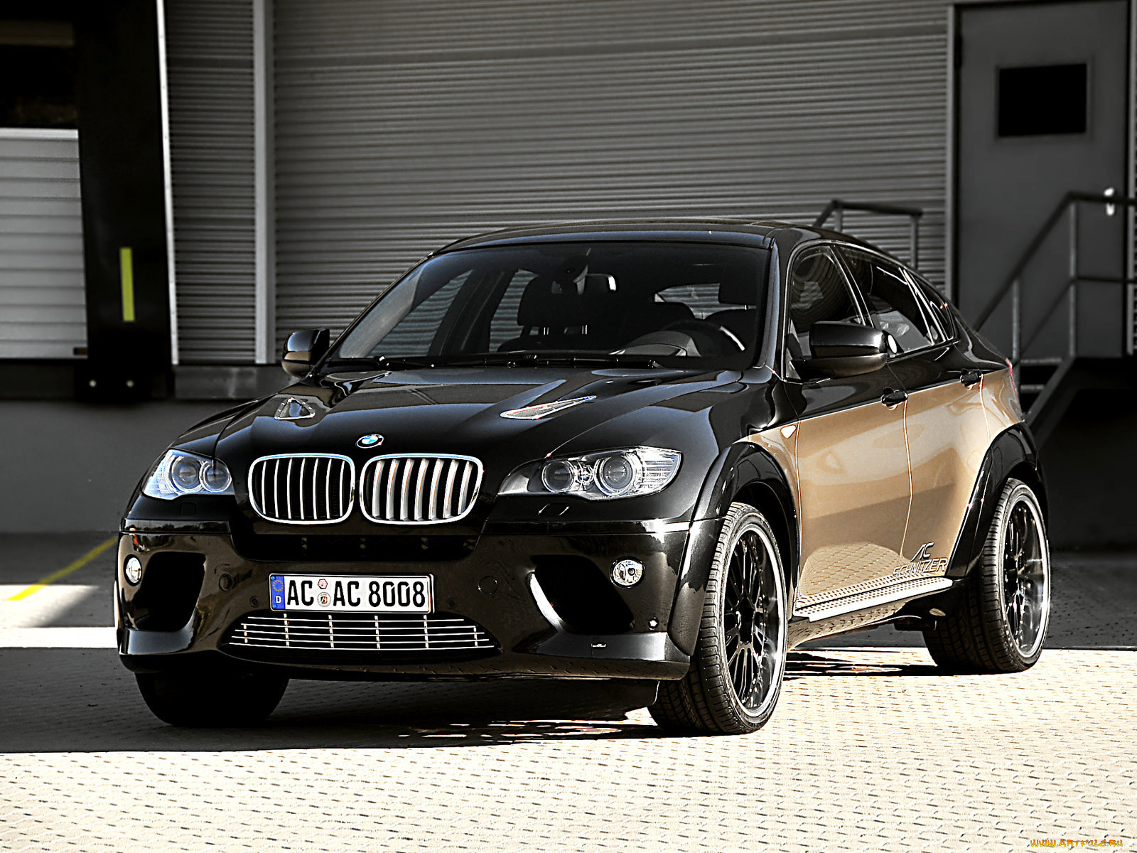 ac, schnitzer, bmw, x6, falcon, 2008, автомобили