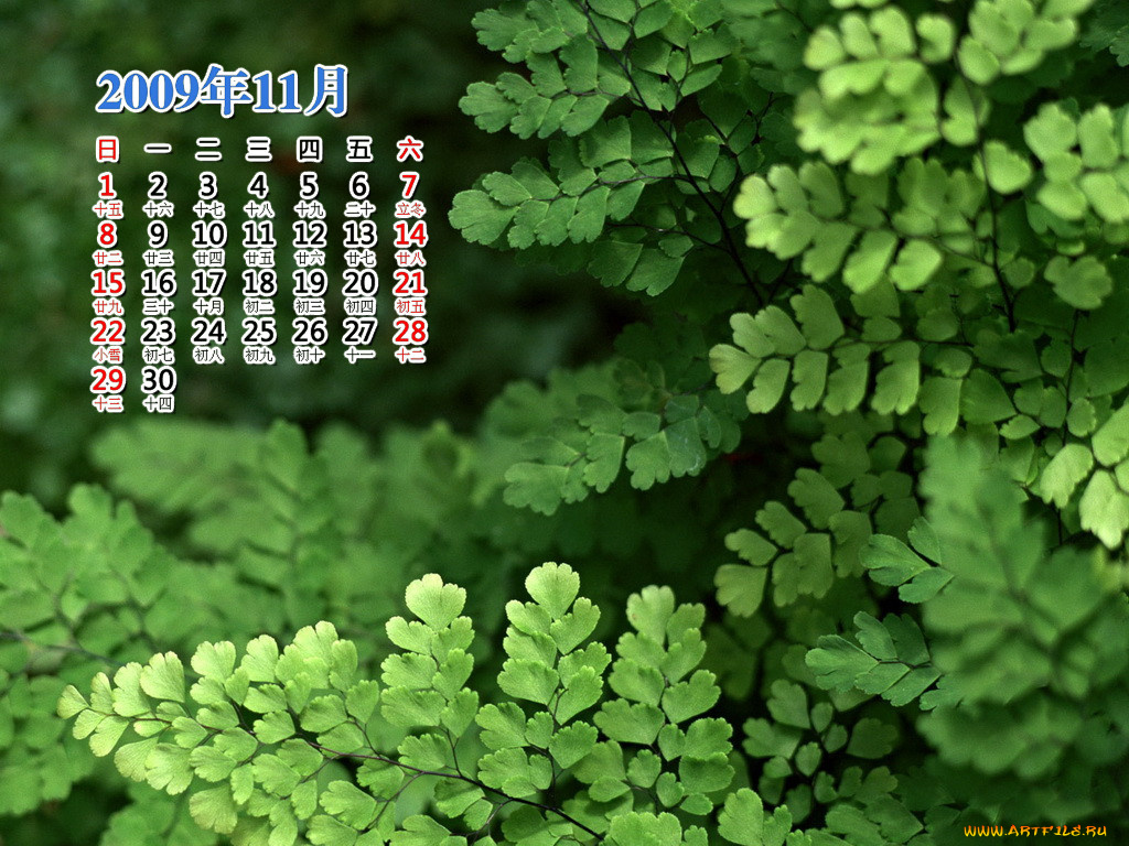 календари, природа