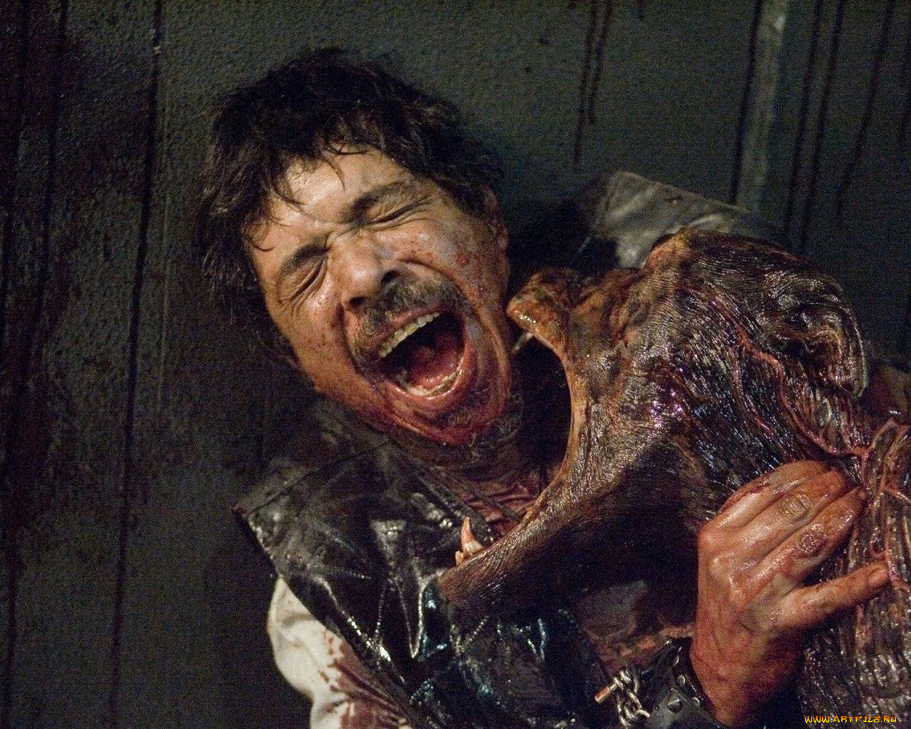 кино, фильмы, resident, evil, exctinction