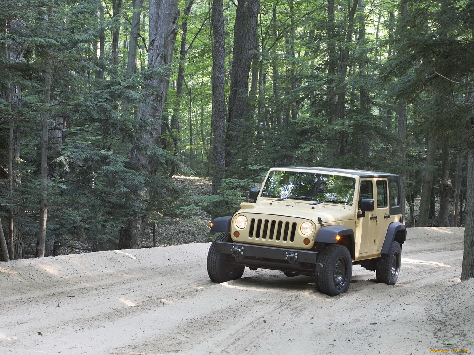 автомобили, jeep