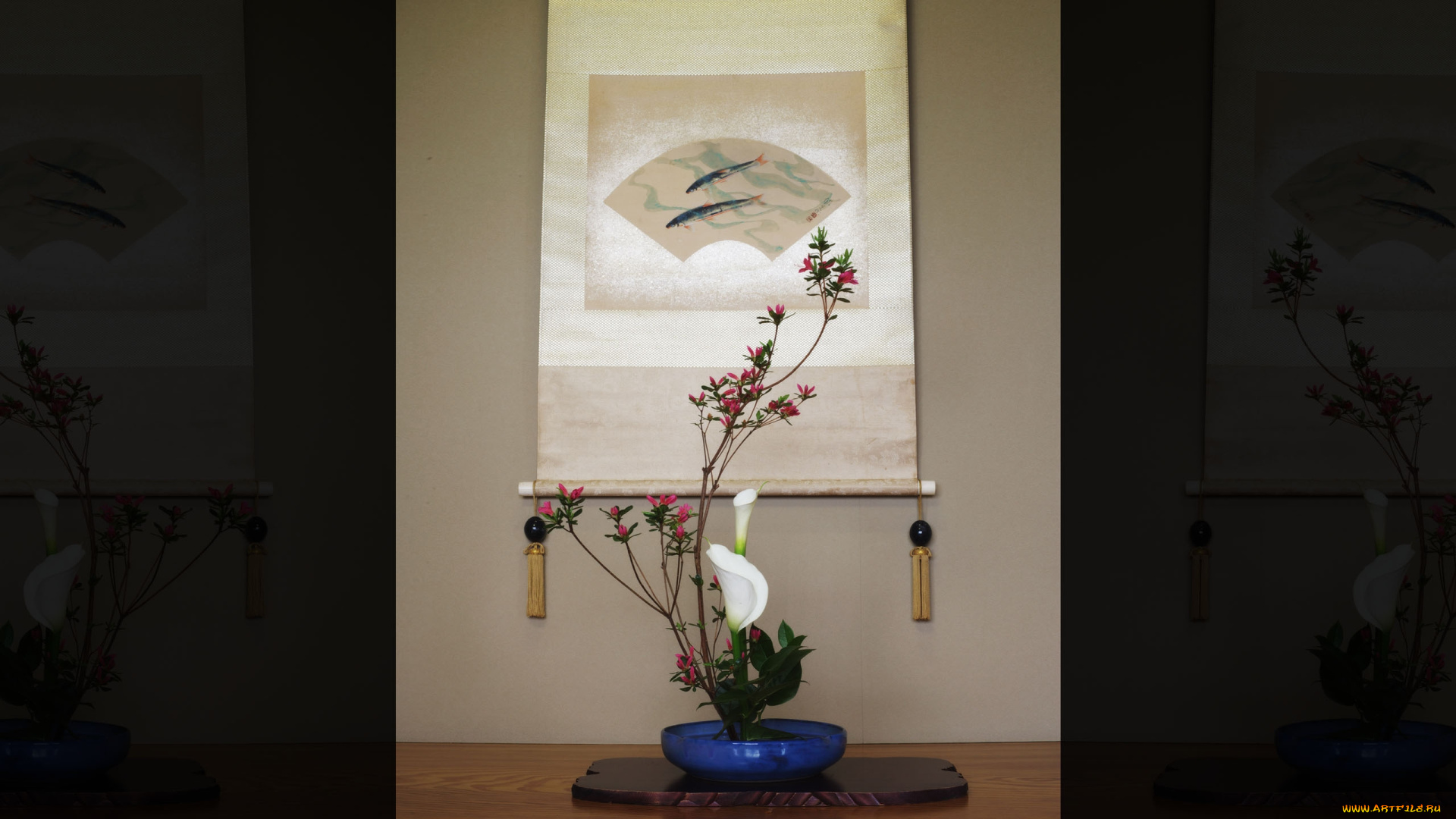 цветы, букеты, композиции