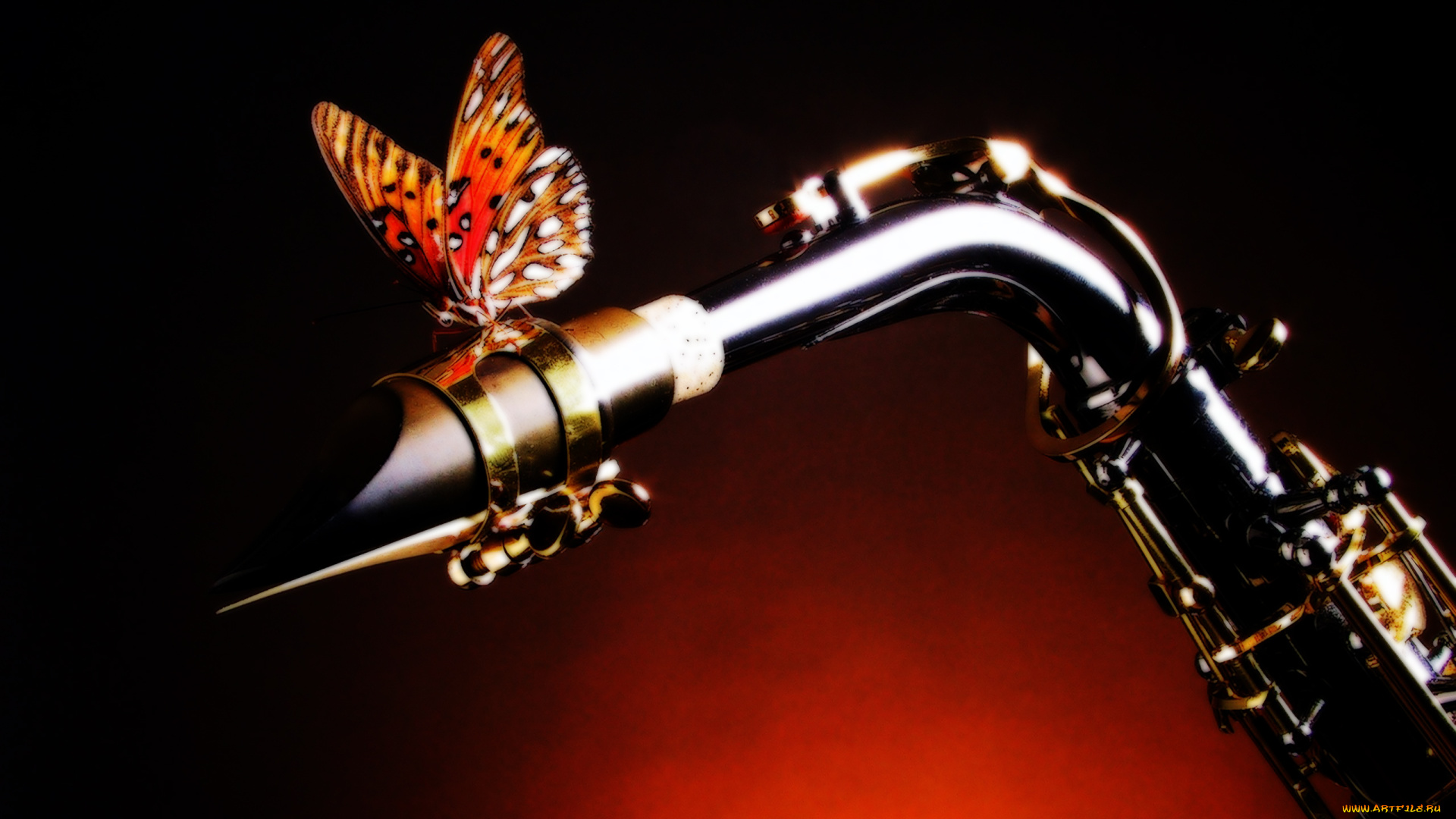 3д, графика, animals, животные