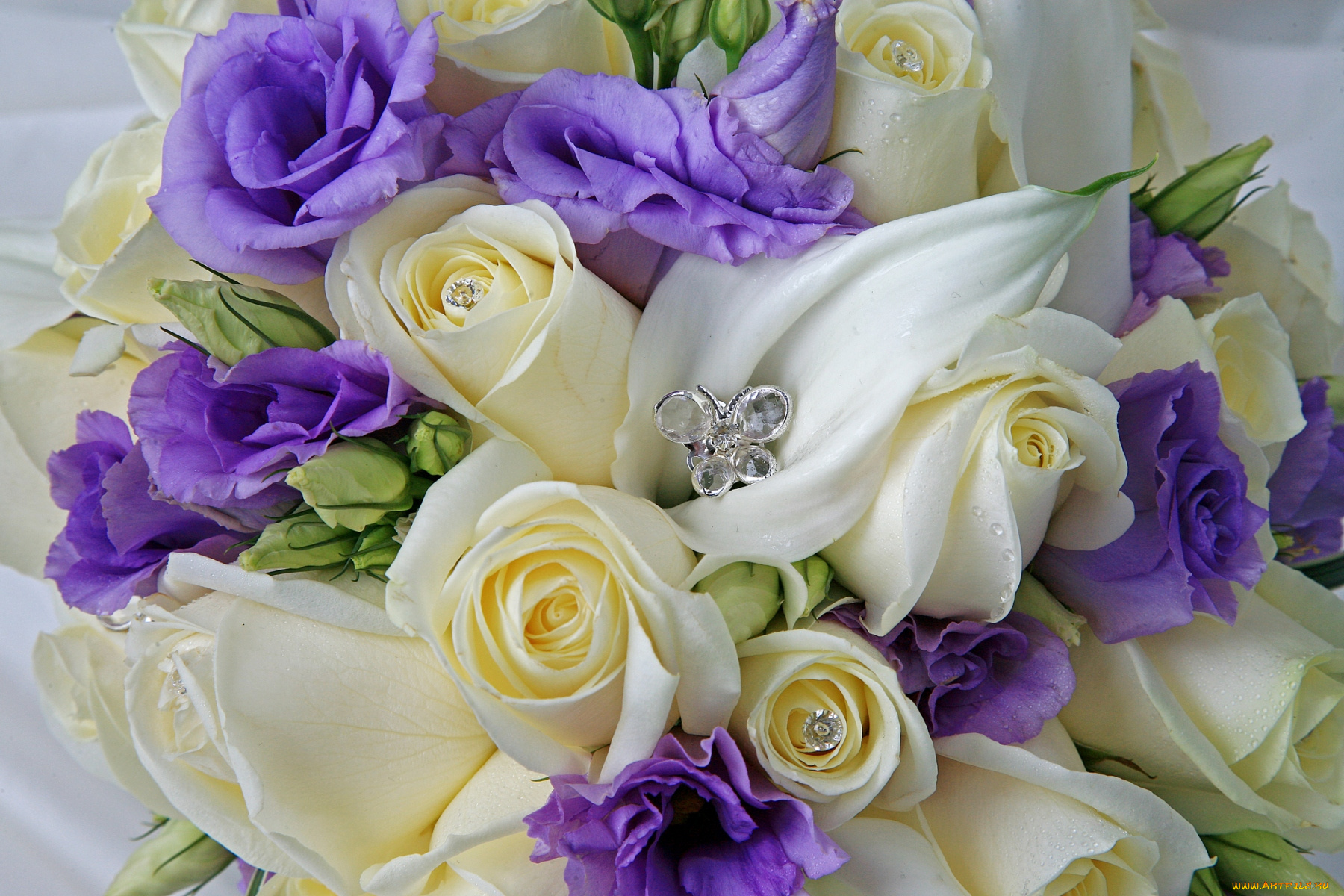 цветы, букеты, композиции, бабочка, эустома, розы