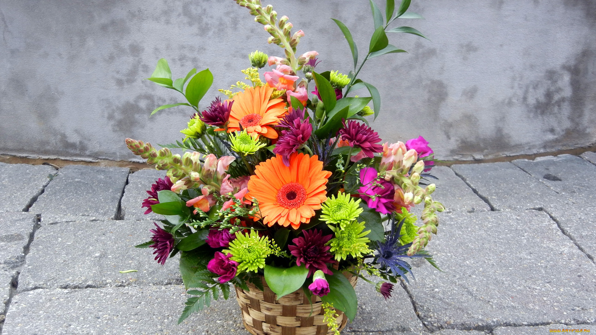 цветы, букеты, композиции, букет