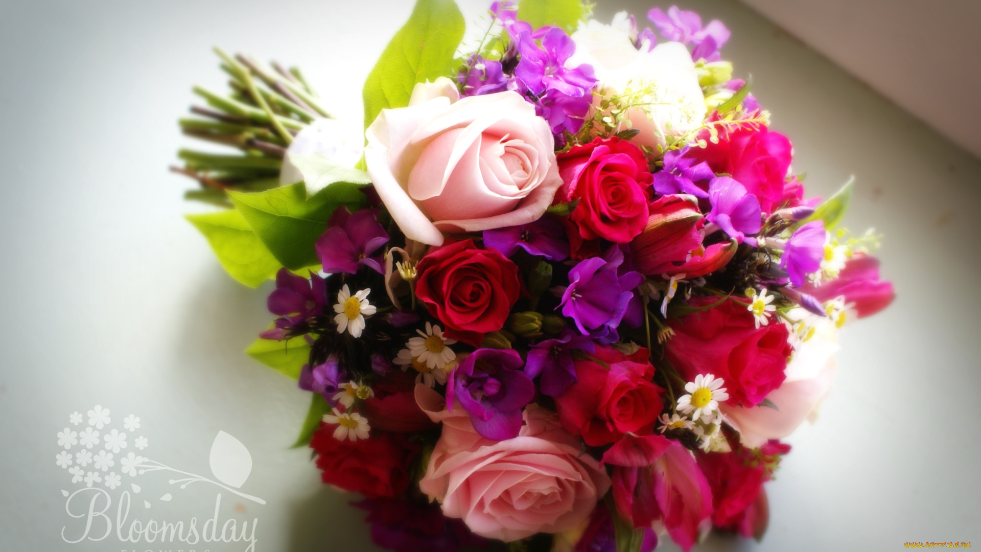 цветы, букеты, композиции, флоксы, розы, ромашки