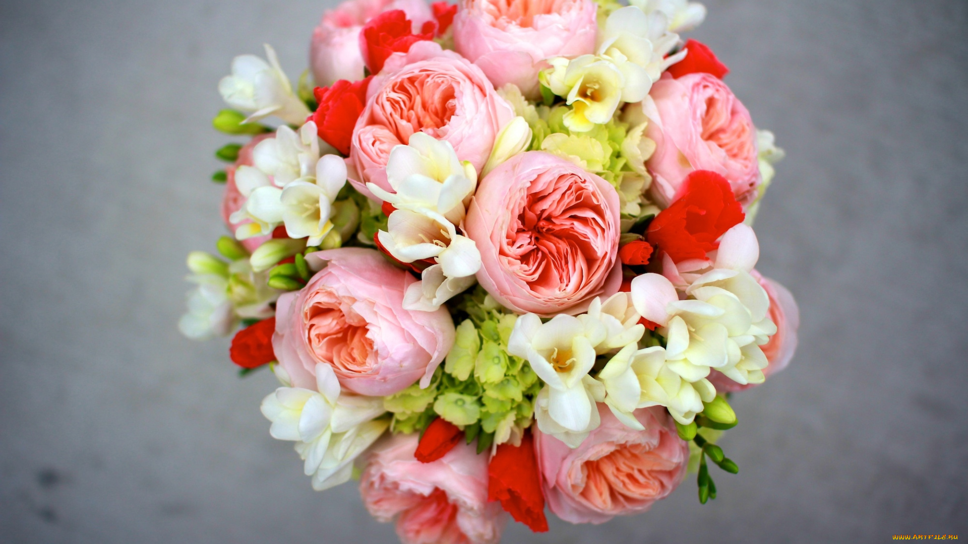 цветы, букеты, композиции, пионы, фрезии, гортензия