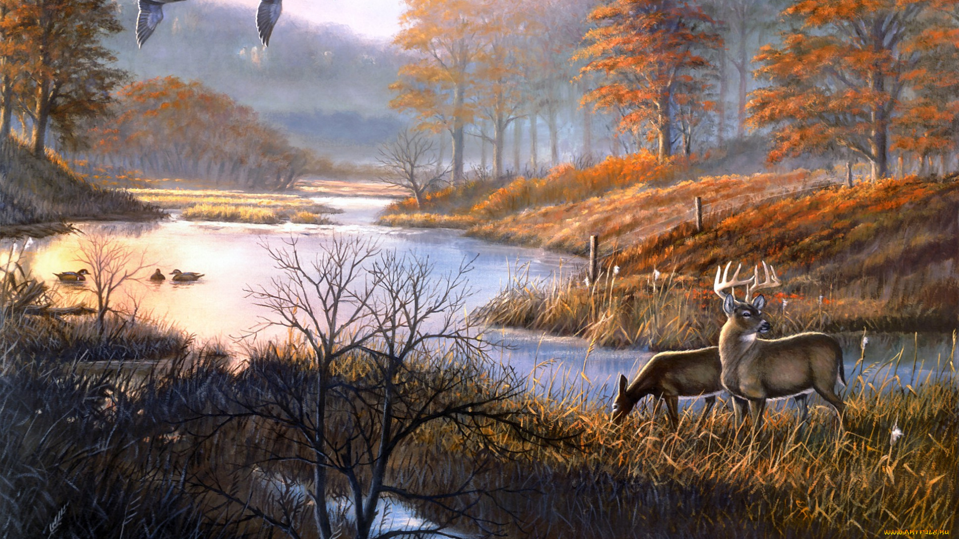 duck, pond, woodies, рисованные, arthur, anderson, олени, утки, озеро, осень