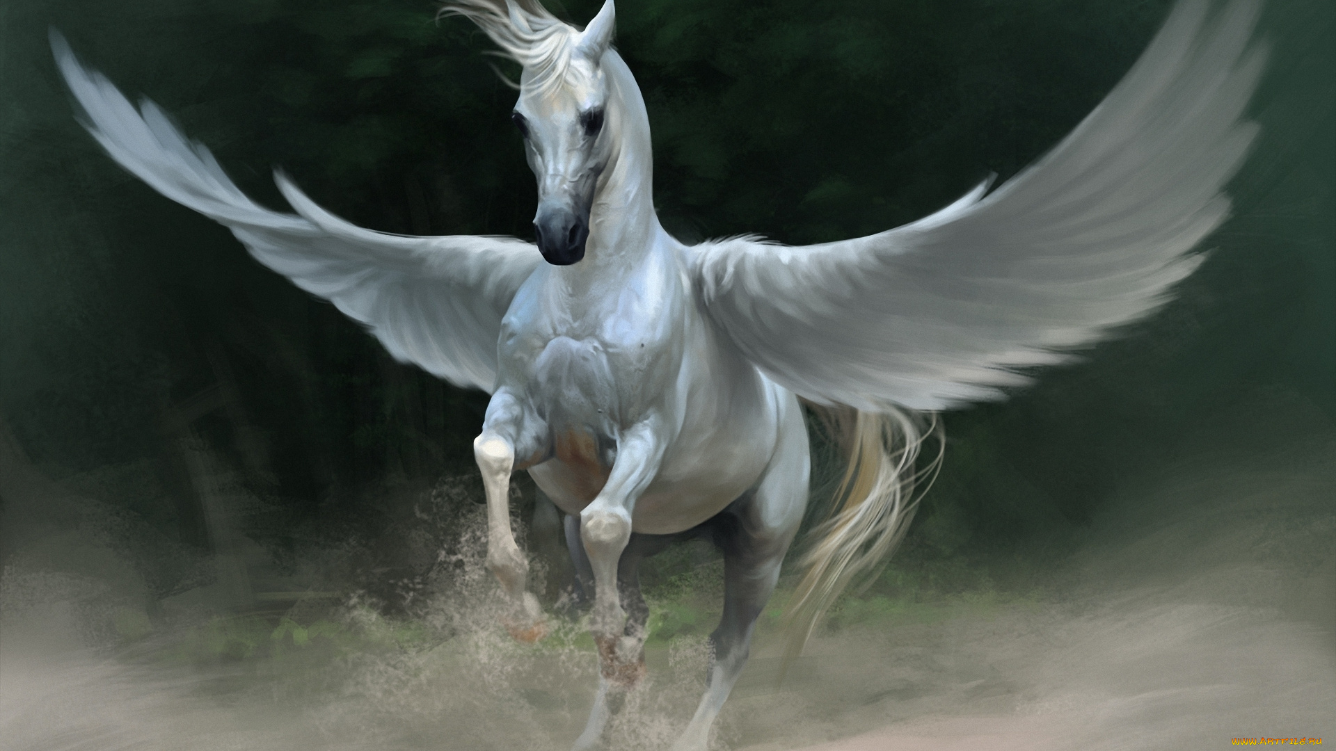 flying, horse, фэнтези, пегасы, летящий, конь, крылья