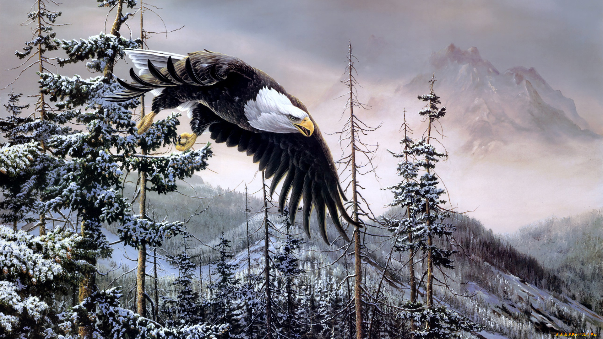 heaven, earth, рисованные, christoper, walden, орел, зима, горы
