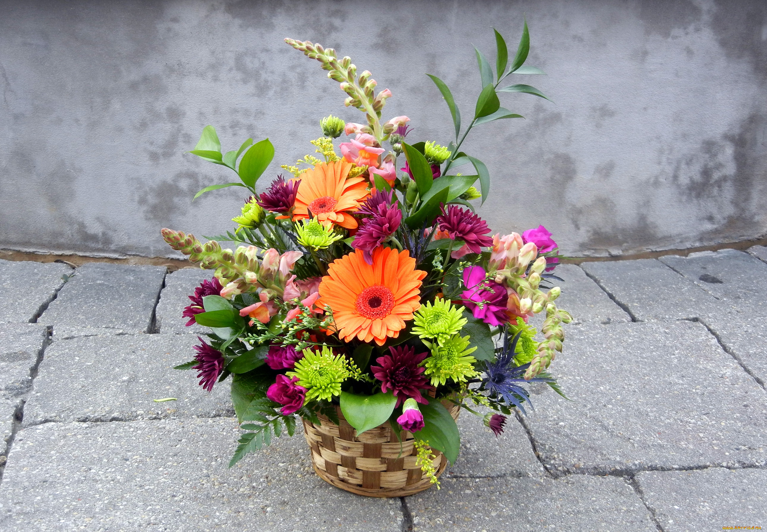 цветы, букеты, композиции, букет