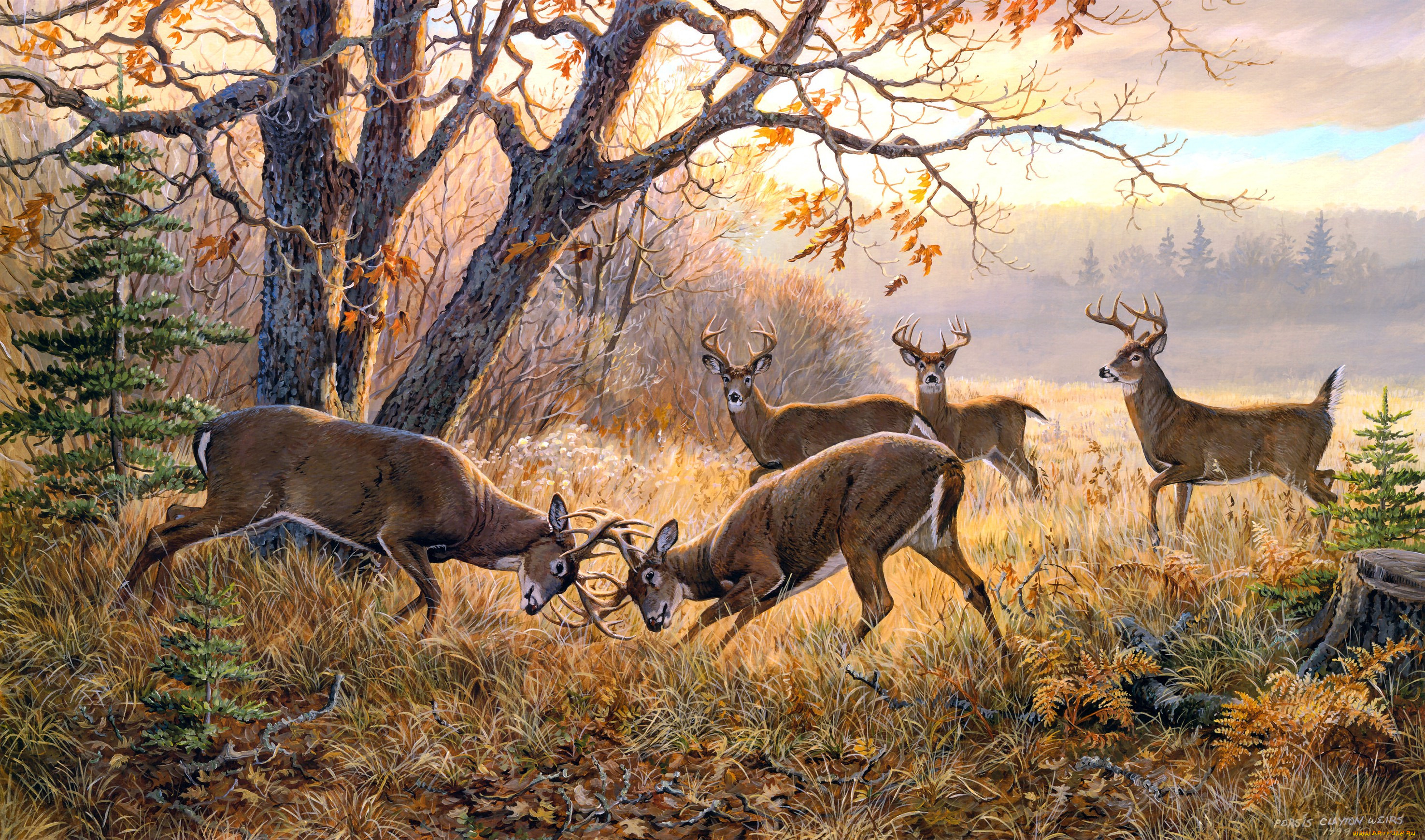 the, dream, team, one, on, рисованные, persis, clayton, weirs, олени, поединок, осень