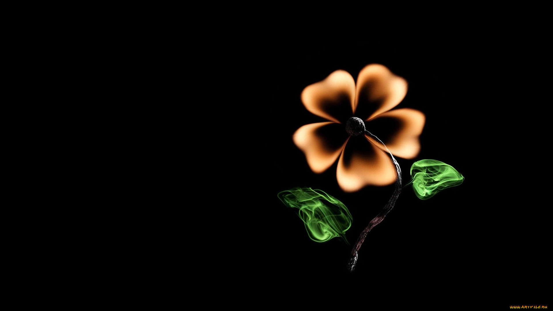 рисованные, минимализм, огонь, креатив, цветок, спичка, черный, фон