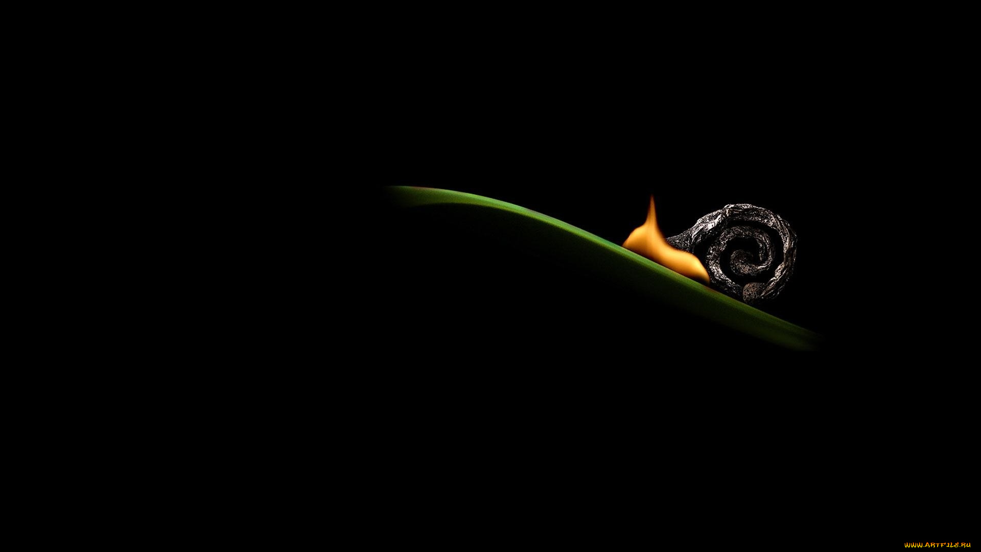 рисованные, минимализм, огонь, улитка, трава