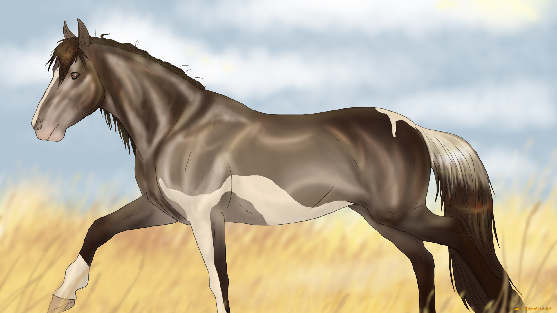 рисованные, животные, лошади, облака, поле, лошадь