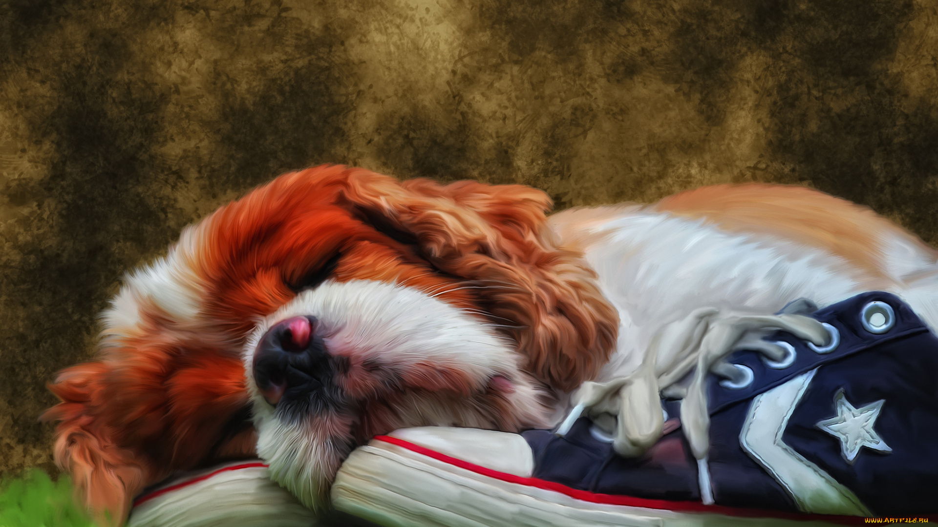 рисованные, животные, собаки, щенок, собака, кеды, отдых, сон, спящий