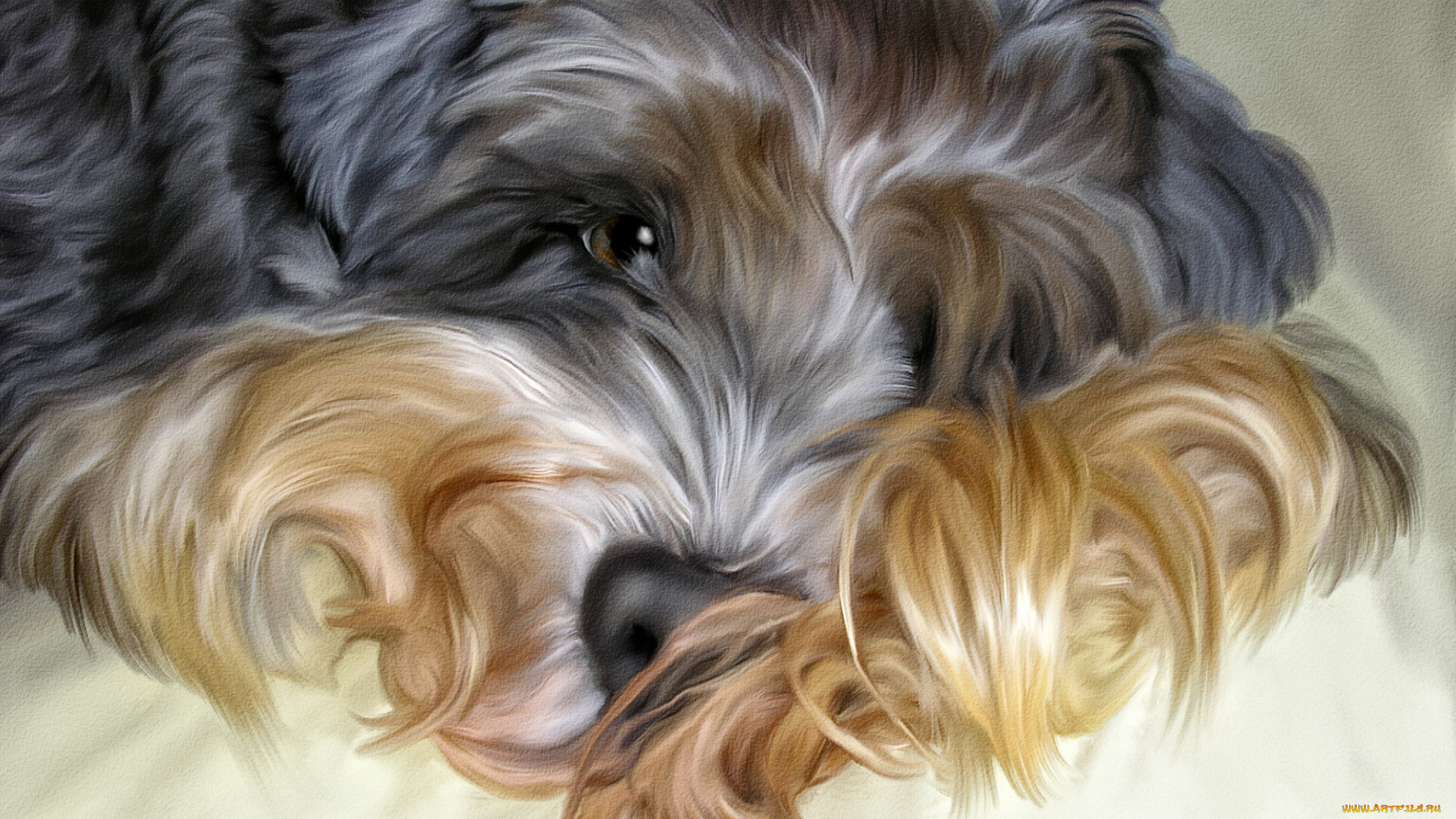 рисованные, животные, собаки, собака