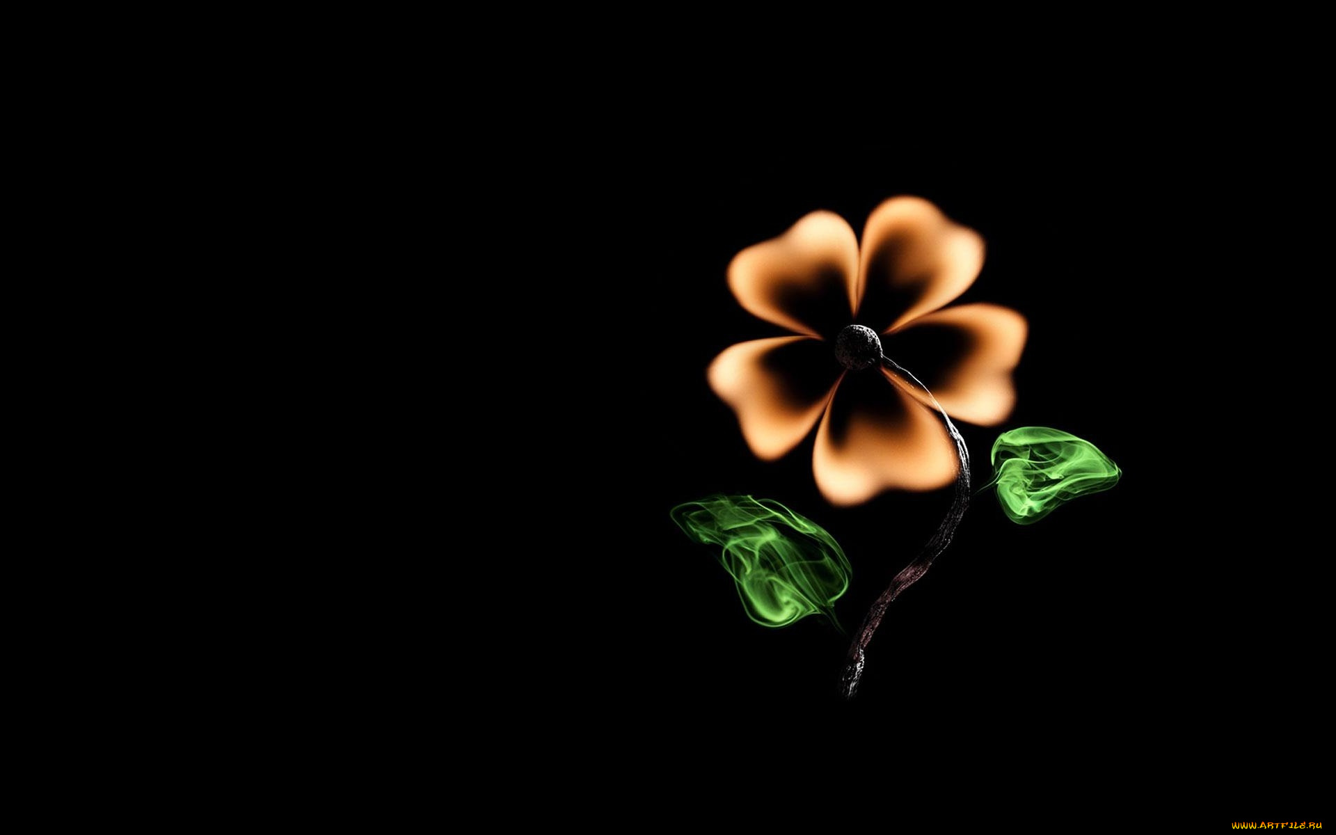 рисованные, минимализм, огонь, креатив, цветок, спичка, черный, фон