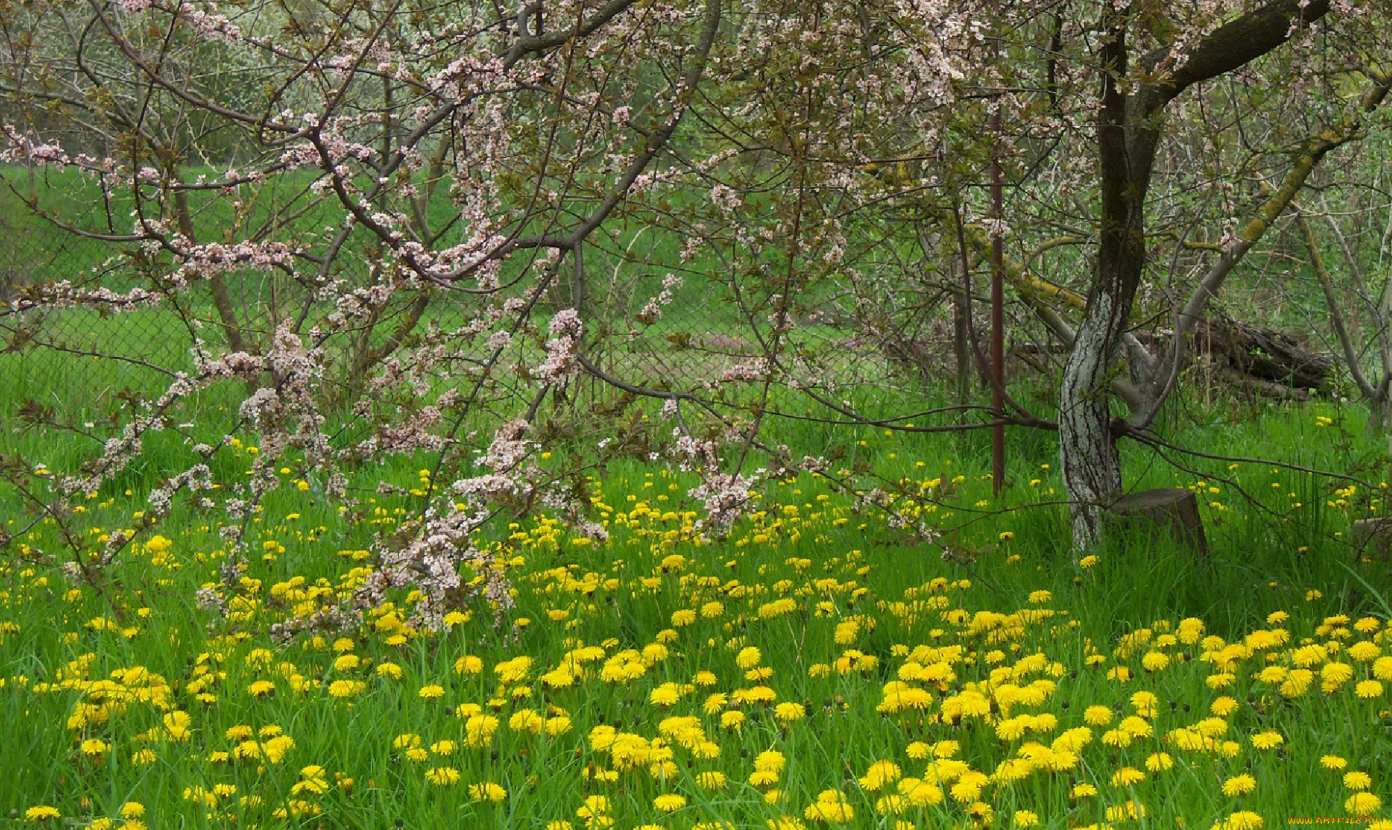 природа, пейзажи