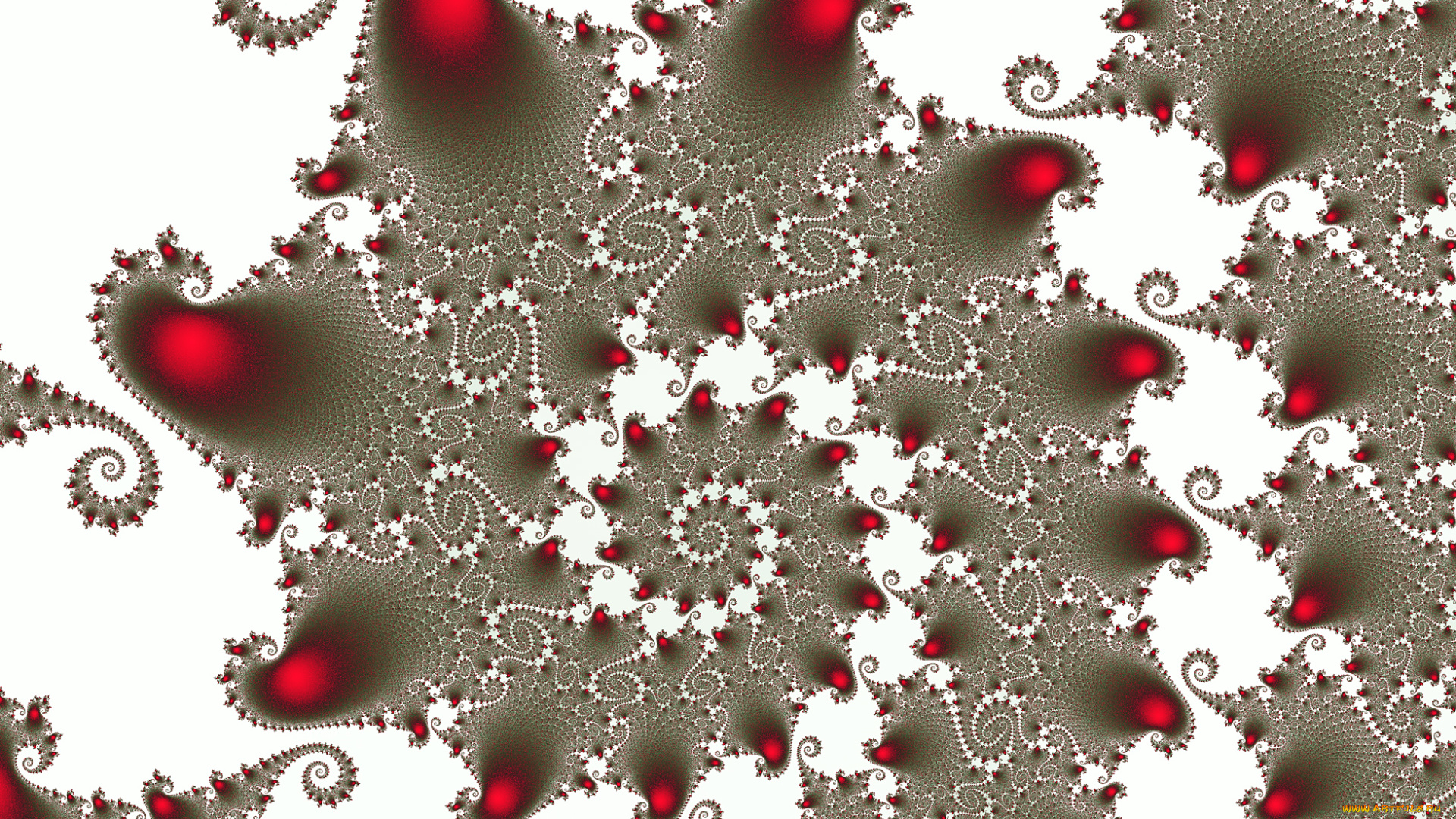 3д, графика, фракталы, , fractal, фон, цвета, узор