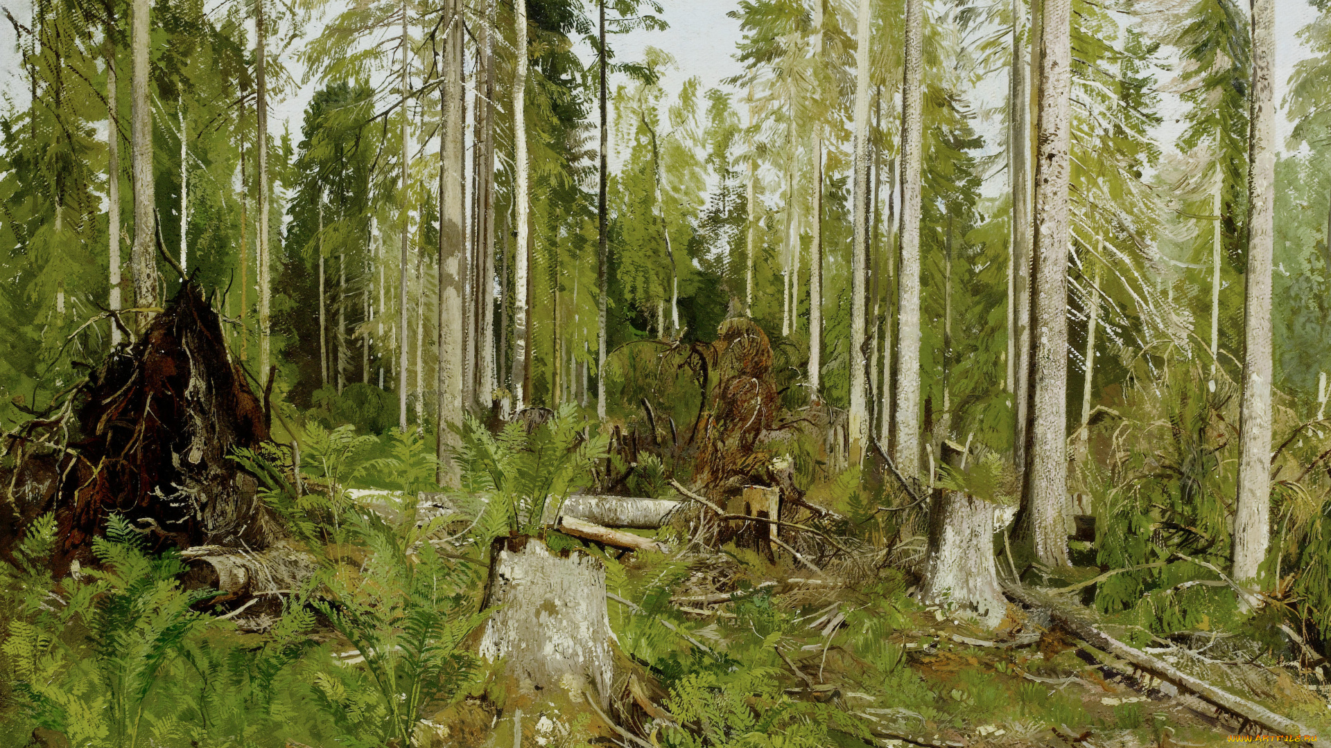 рисованное, иван, шишкин, заросли, деревья, сосновый, лес, шишкин