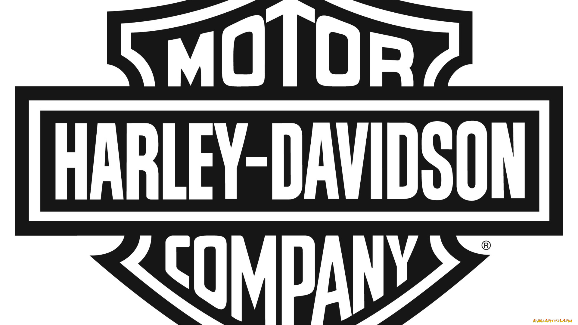 бренды, авто-мото, , harley-davidson, фон, логотип