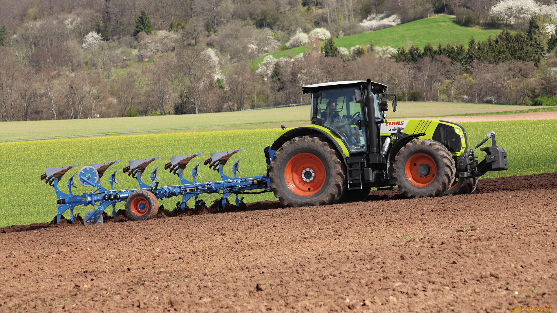 техника, тракторы, claas