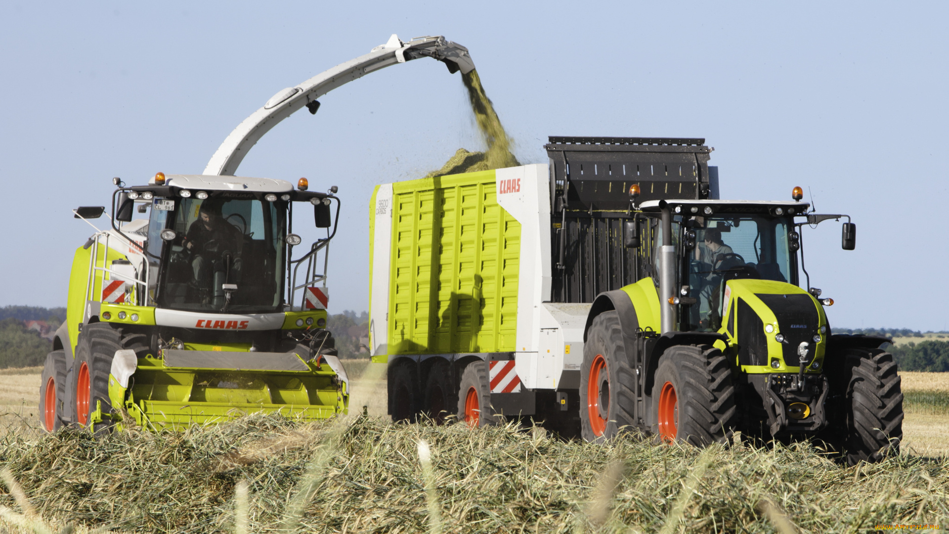 техника, тракторы, claas