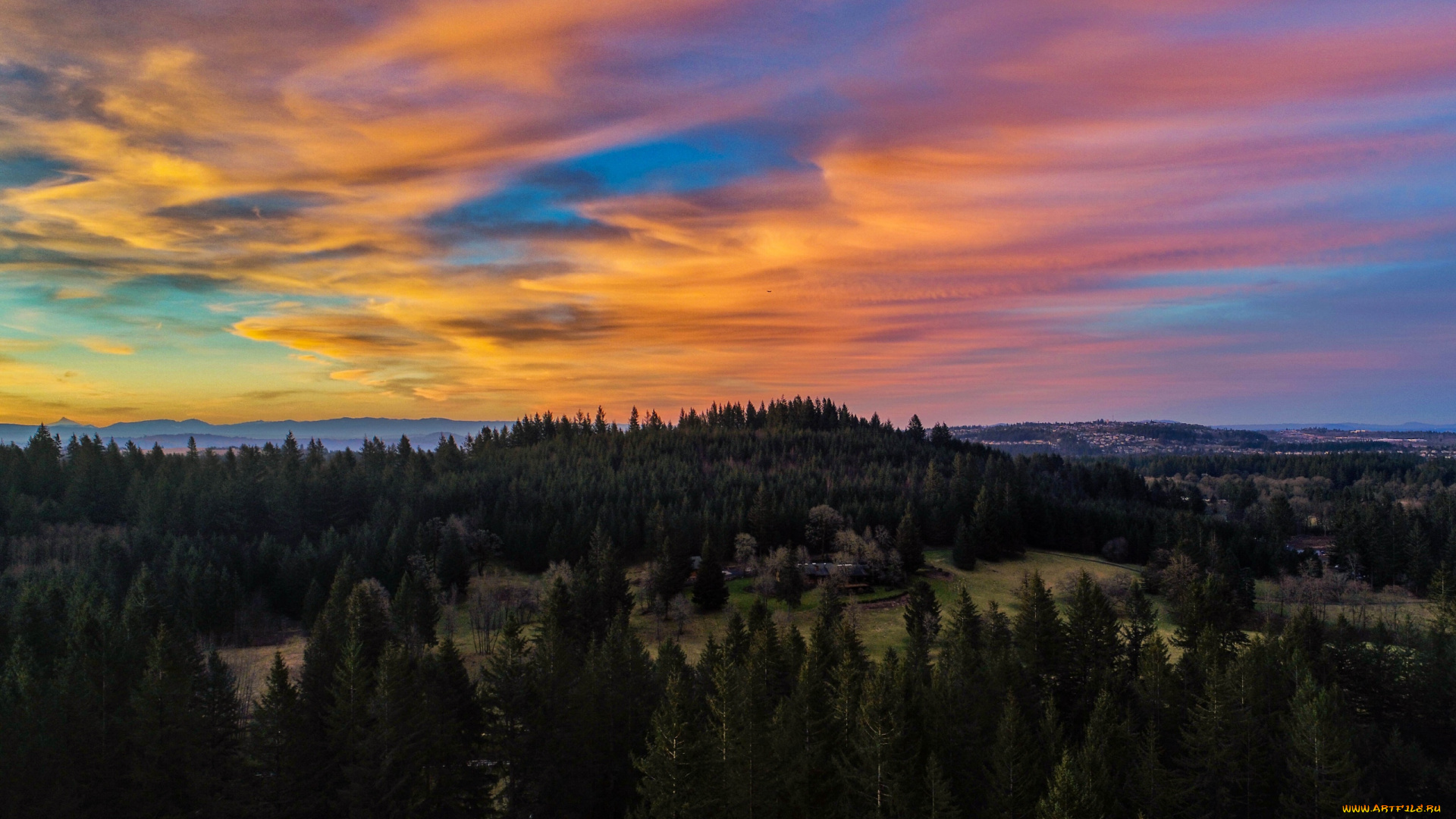 природа, лес, деревья, облака