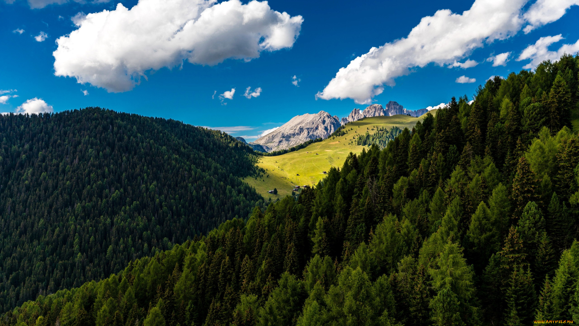 природа, лес, горы, облака