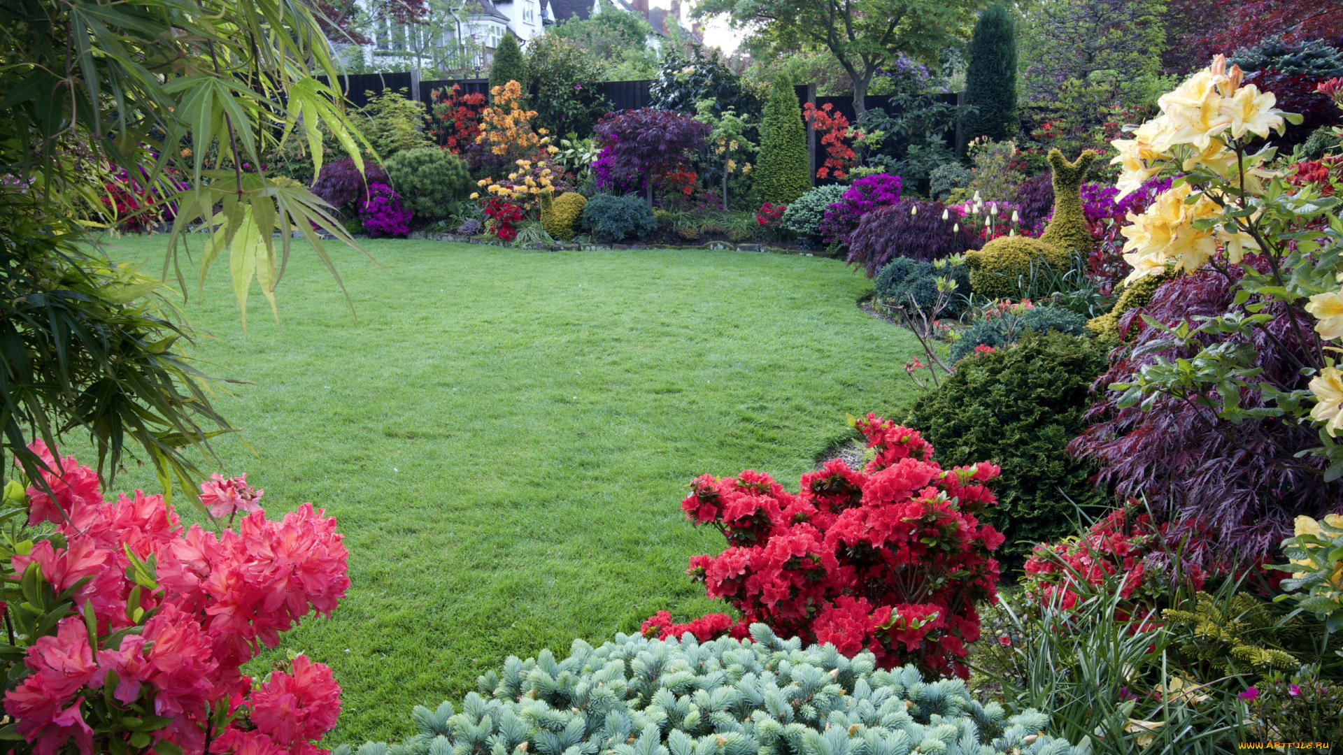 природа, парк, лужайка, кусты, азалии, рододендрон