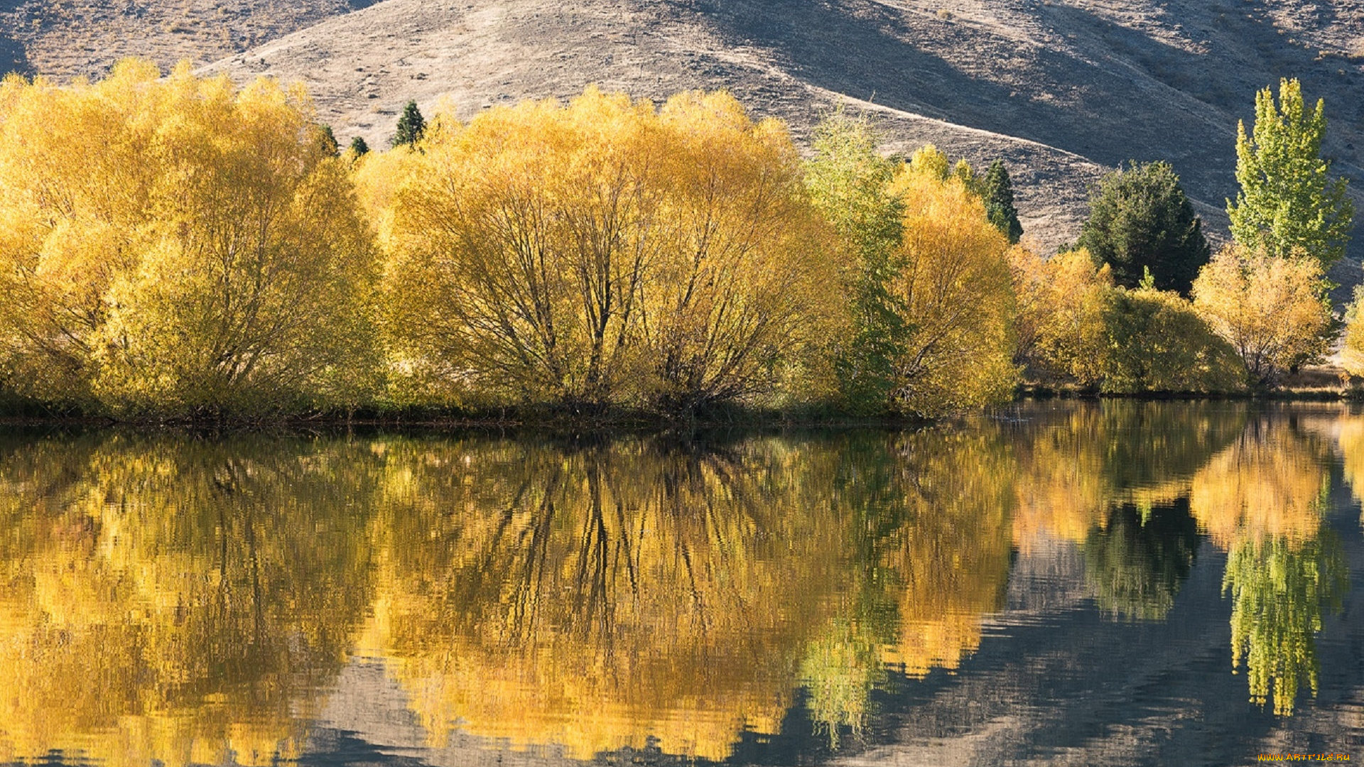 природа, реки, озера, отражение