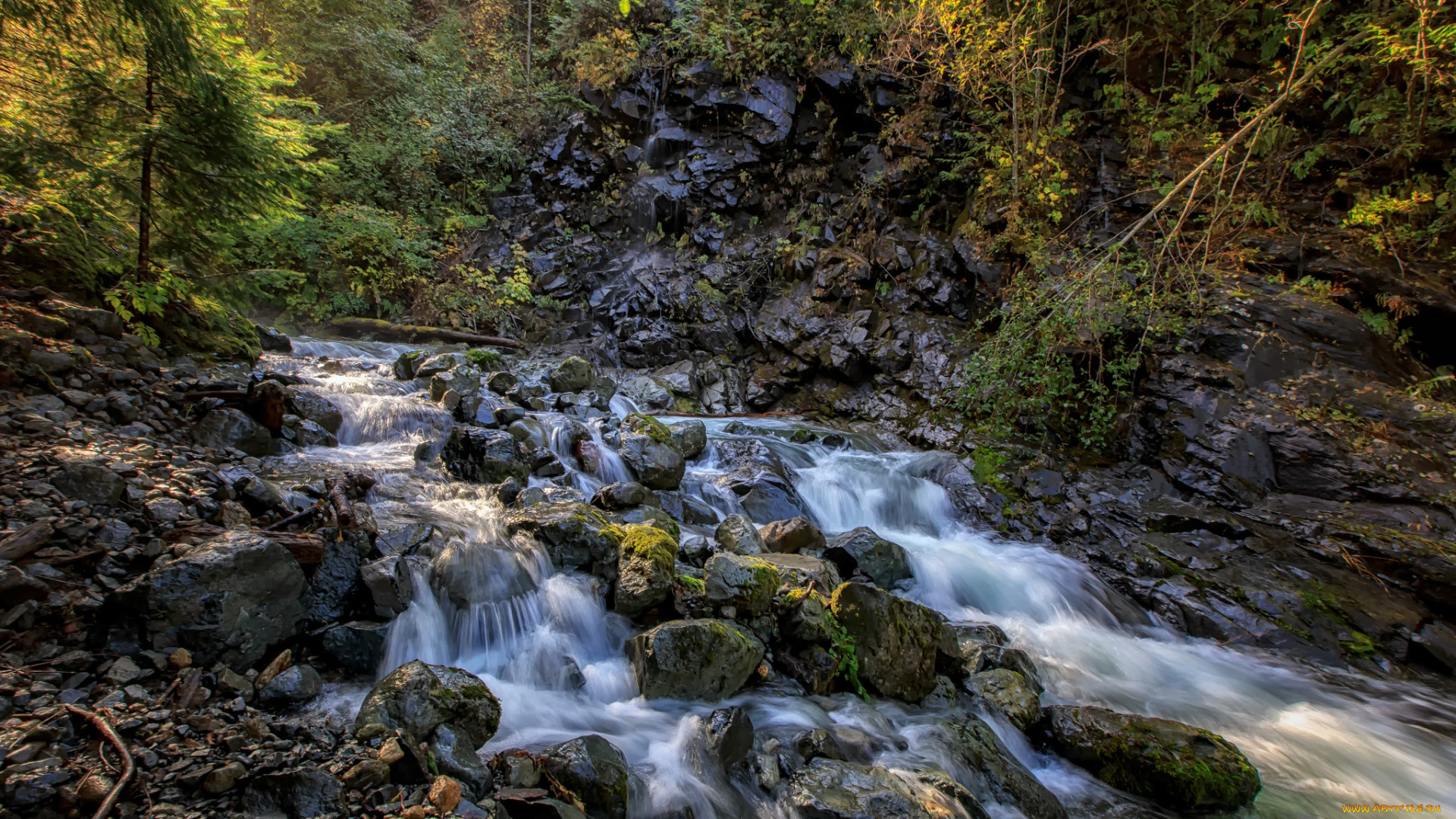 природа, реки, озера, простор