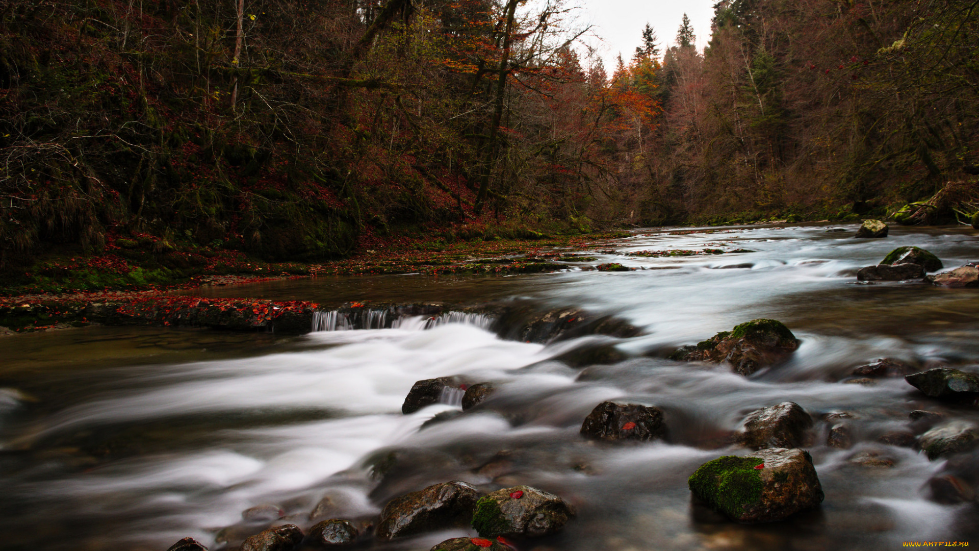природа, реки, озера, река, поток
