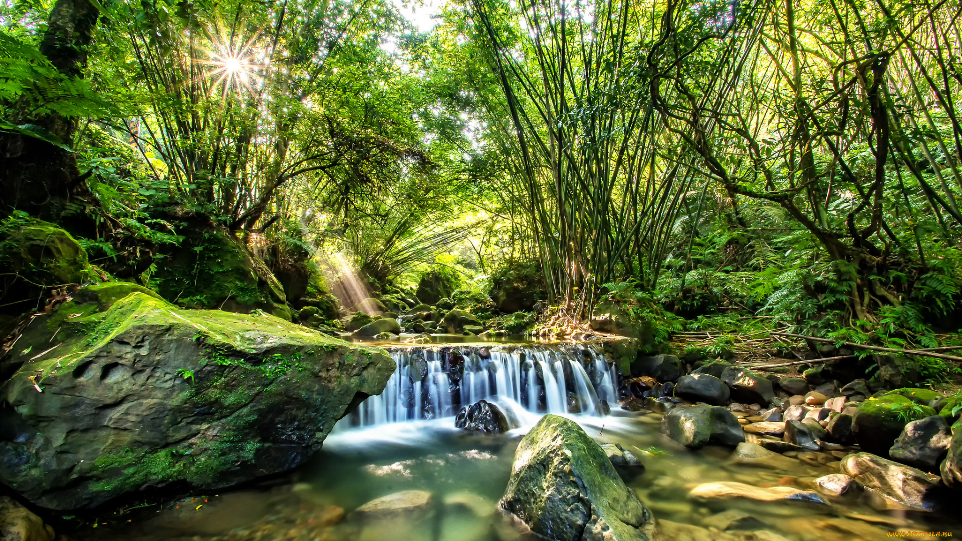 природа, водопады, водопад, лес, поток, лето, солнце