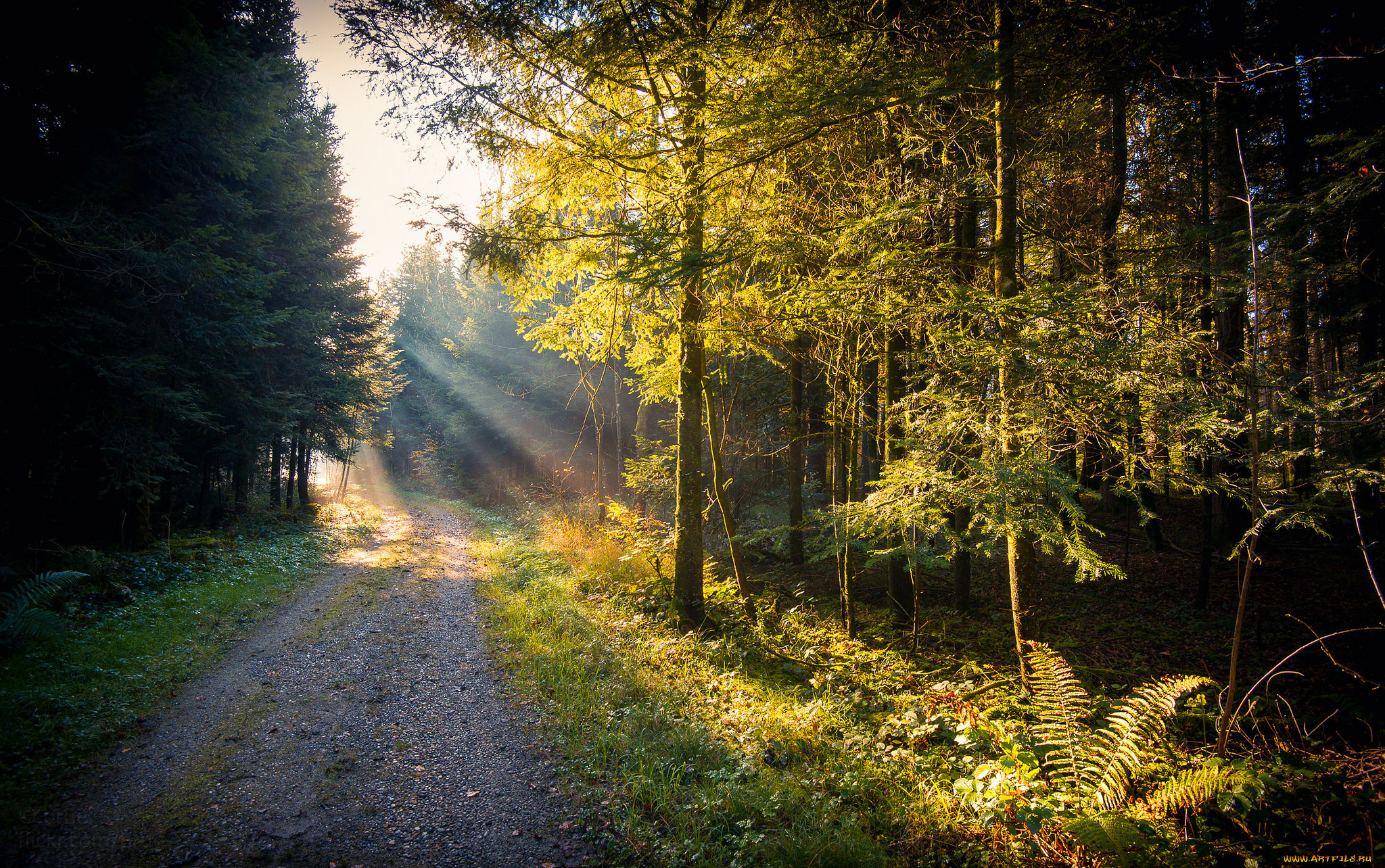 природа, дороги, простор