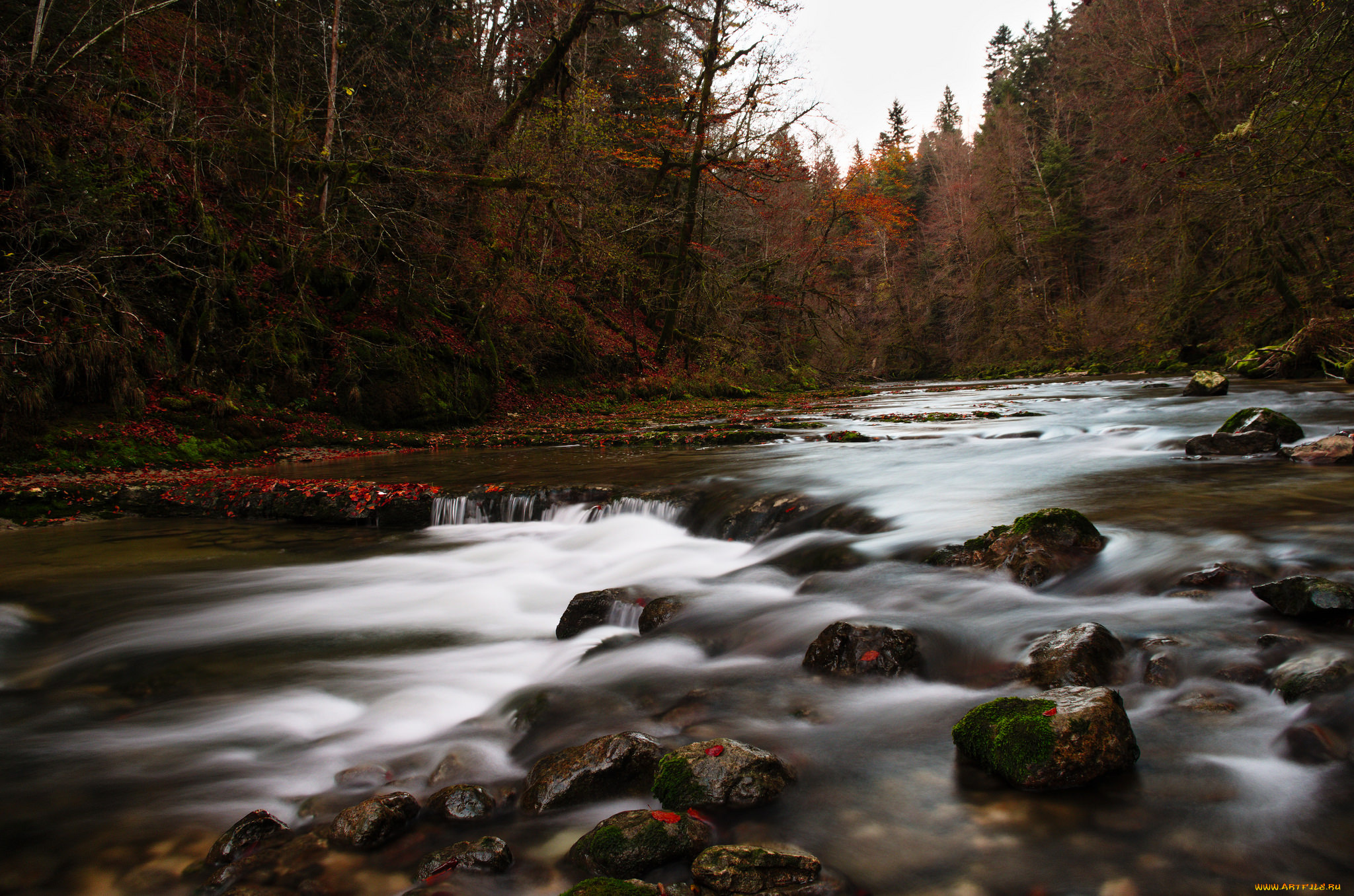 природа, реки, озера, река, поток