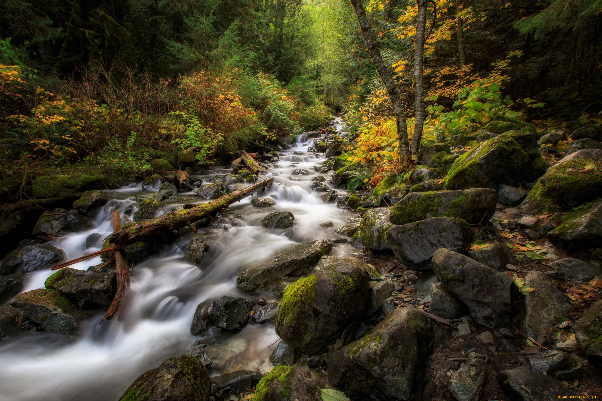 природа, реки, озера, простор