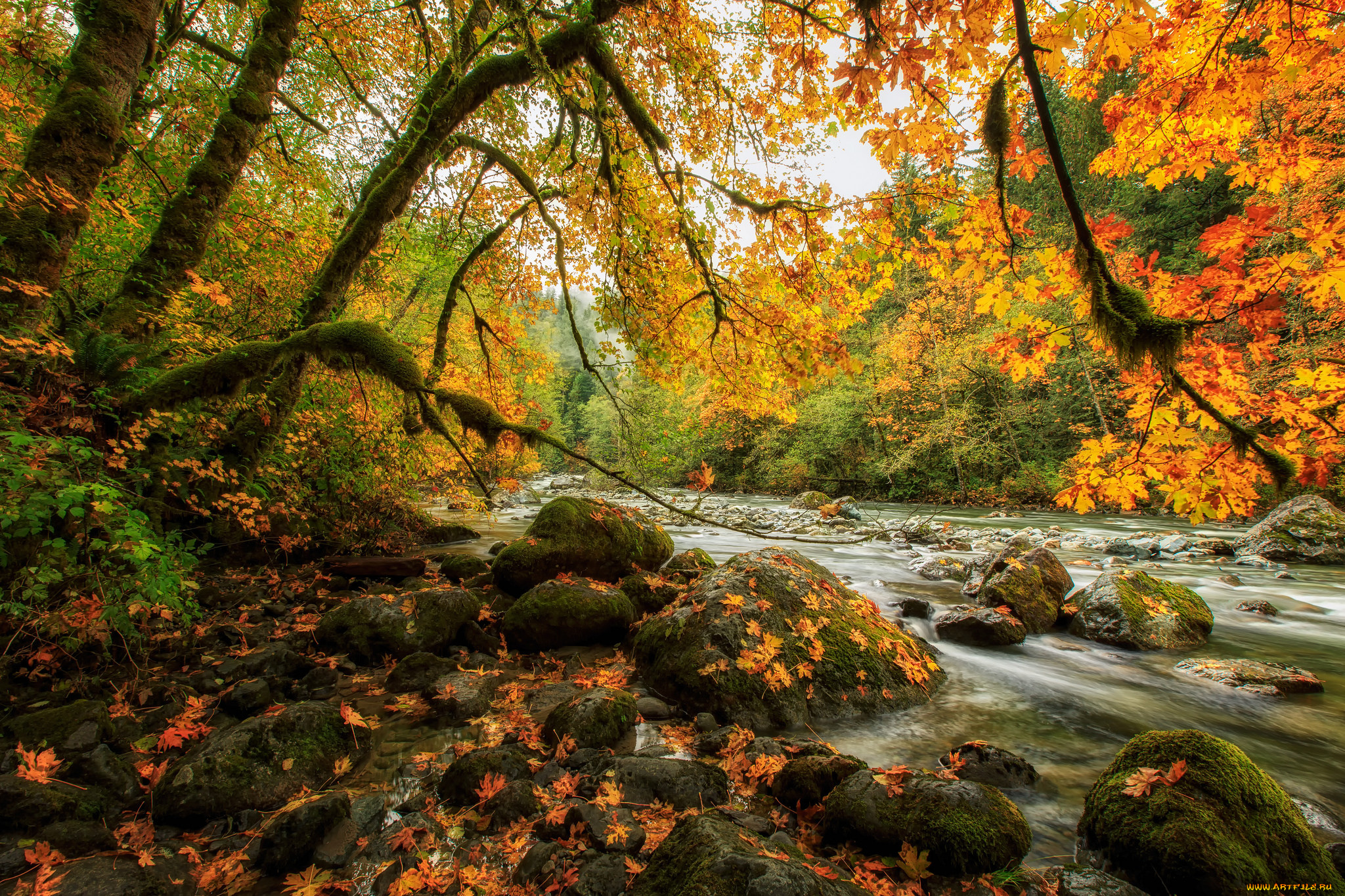 природа, реки, озера, простор