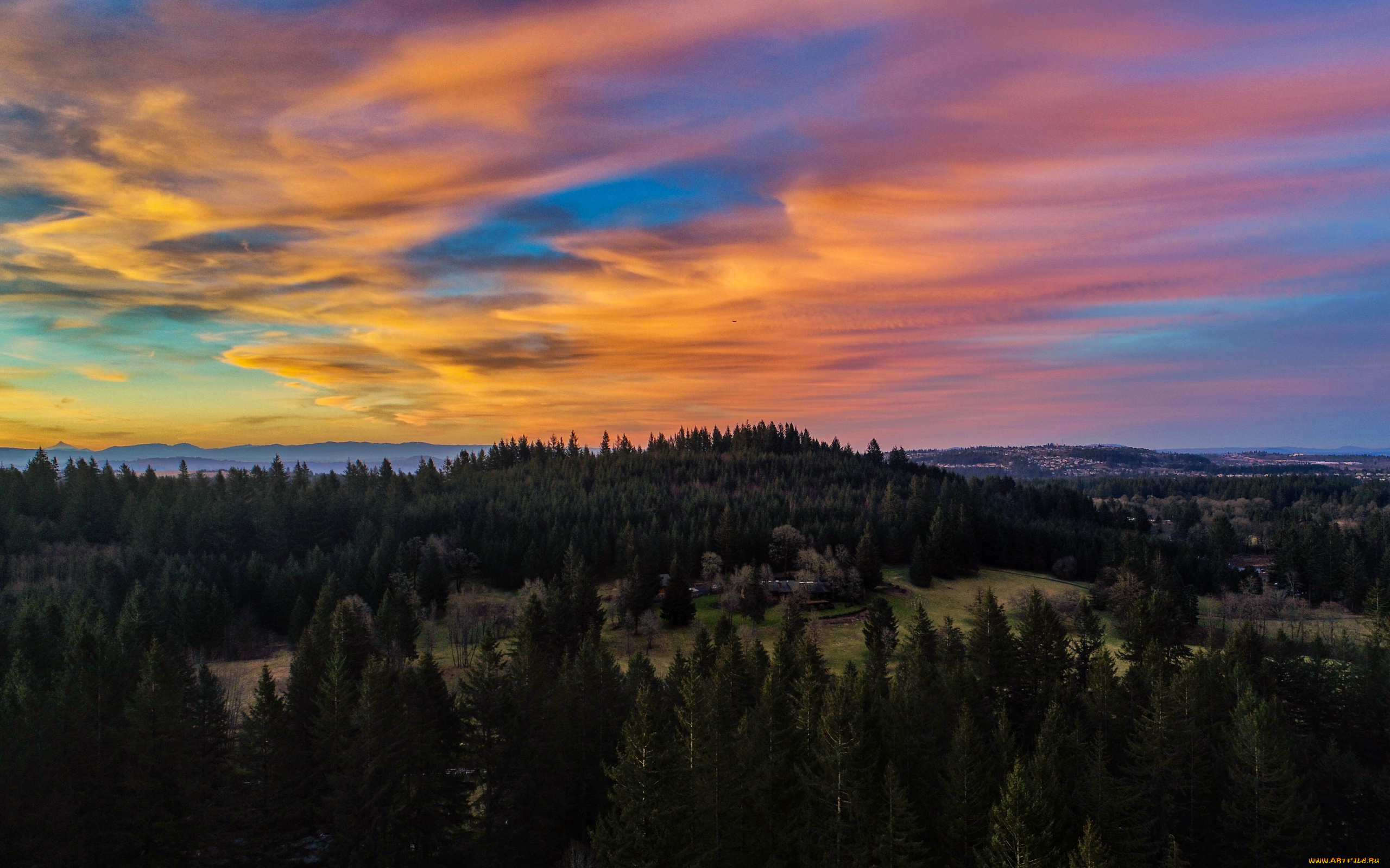 природа, лес, деревья, облака