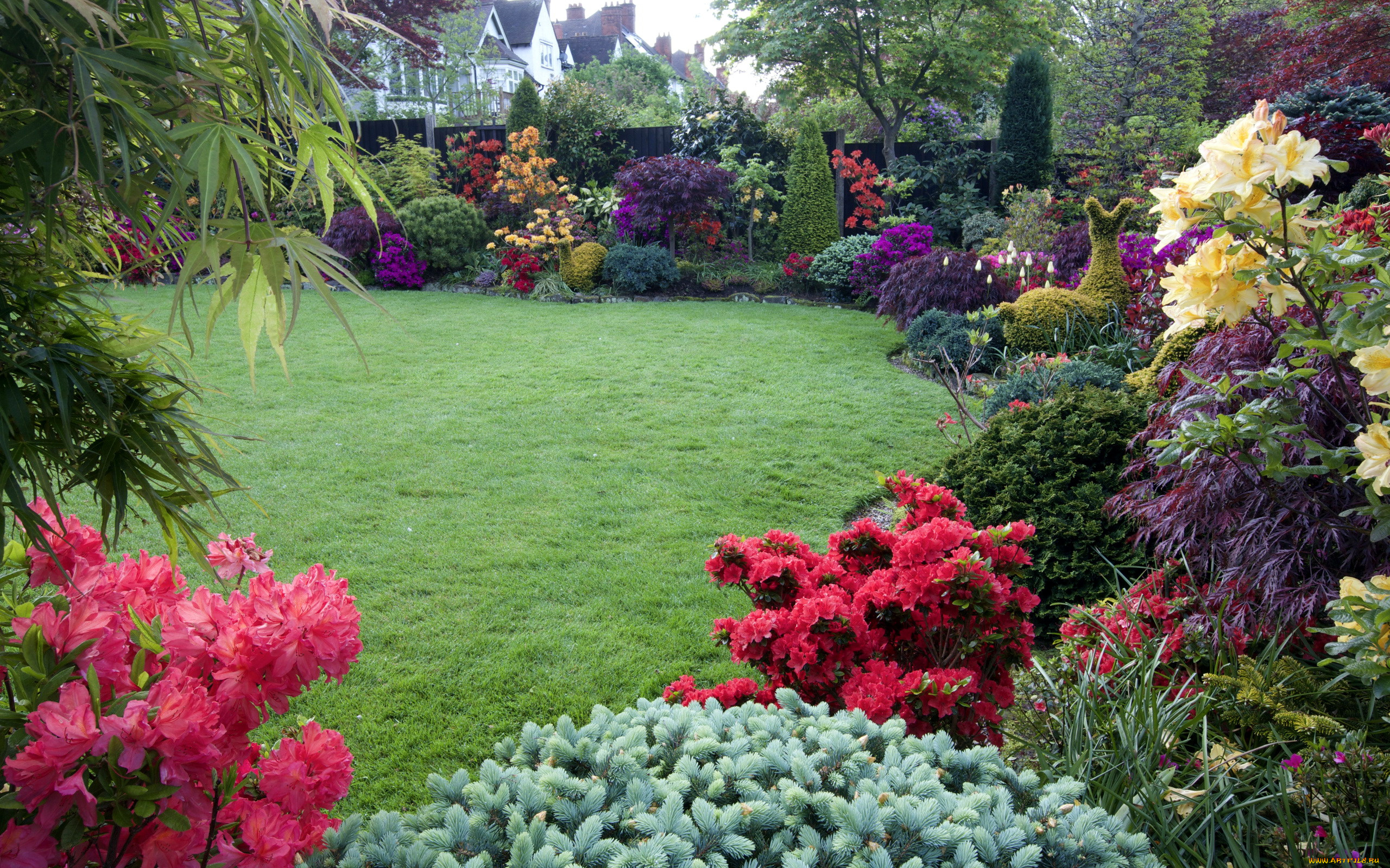 природа, парк, лужайка, кусты, азалии, рододендрон