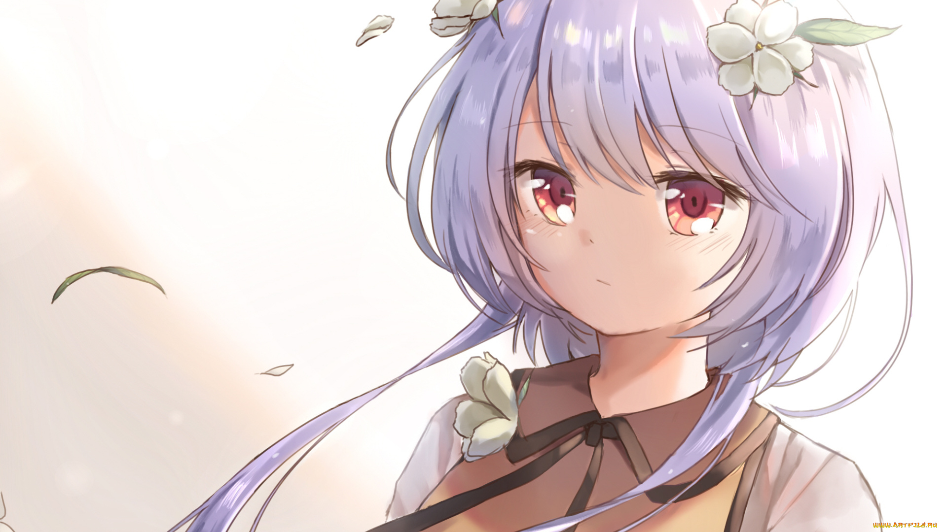 аниме, unknown, , другое, , девушка